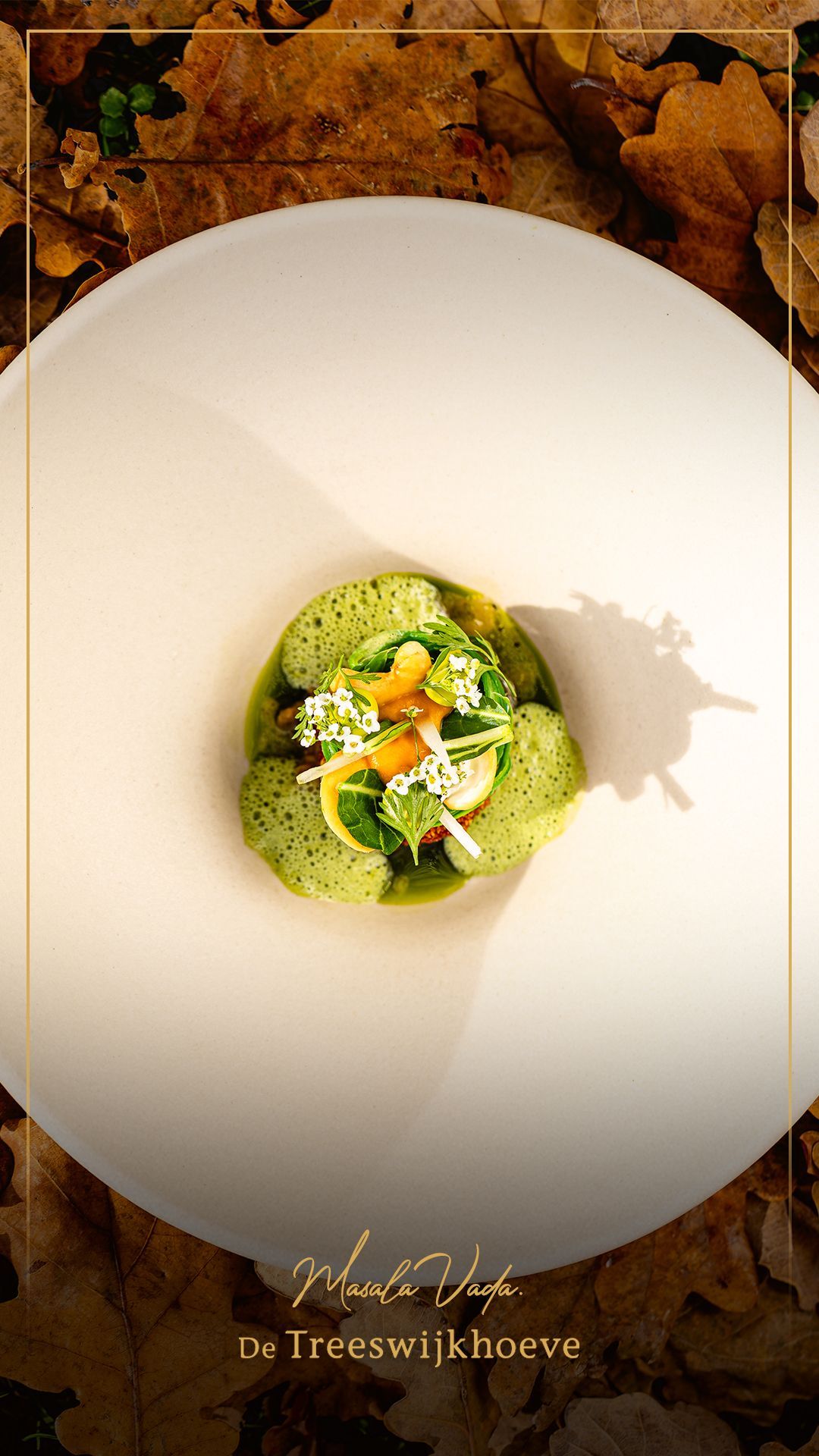 Twee mensen lopen een houten trap af richting een zonnig strand. De tekst luidt: 