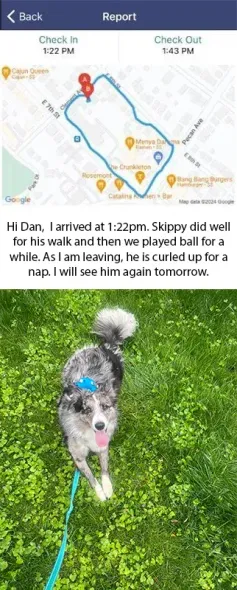 Dog walk report with map of route. Dog in grass, text report.