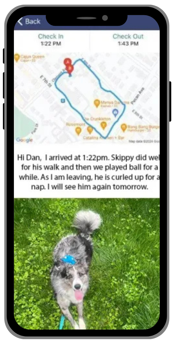 Dog walk report with map of route. Dog in grass, text report.