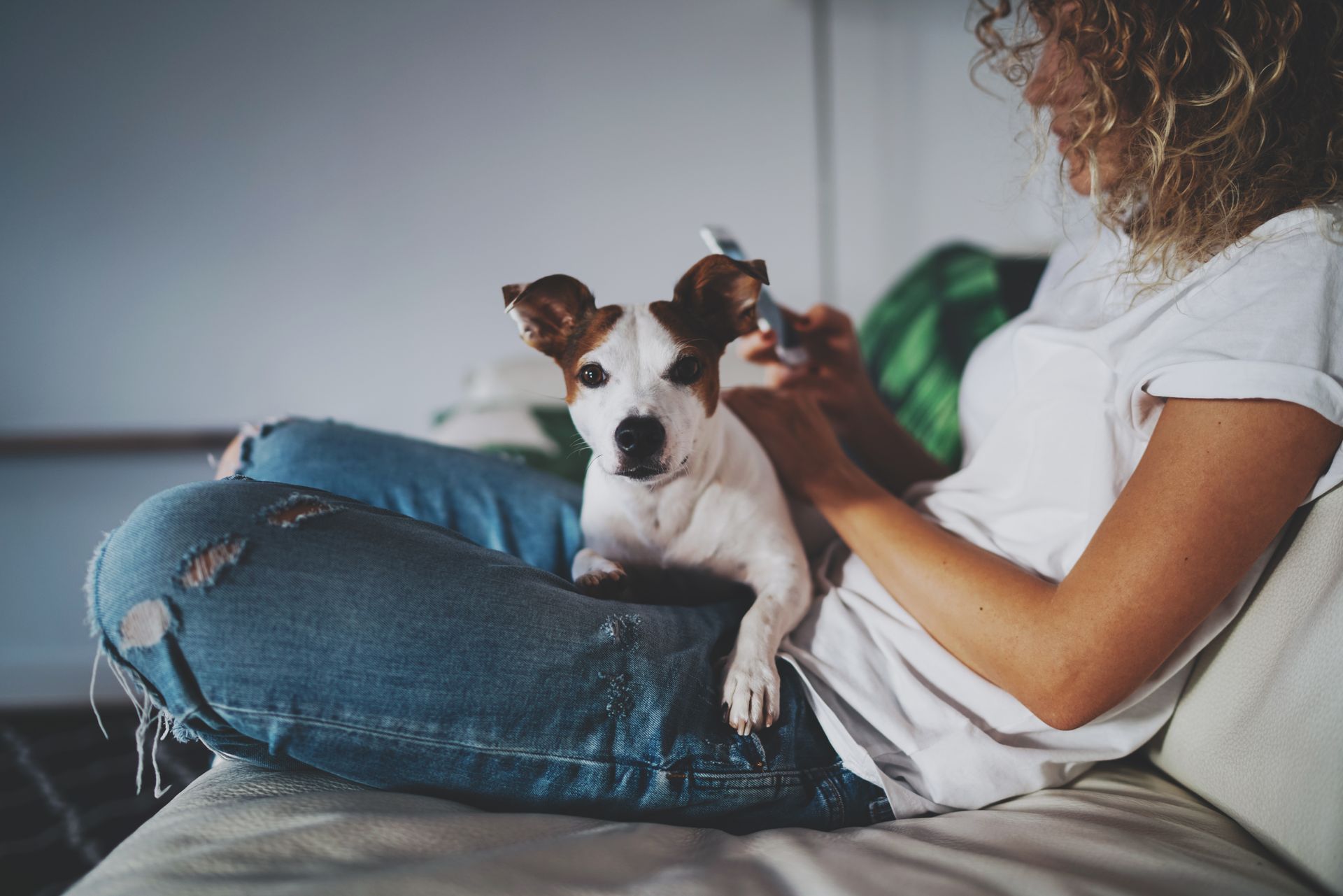 Woman with glasses smiles at phone, lying on rug next to dog indoors.