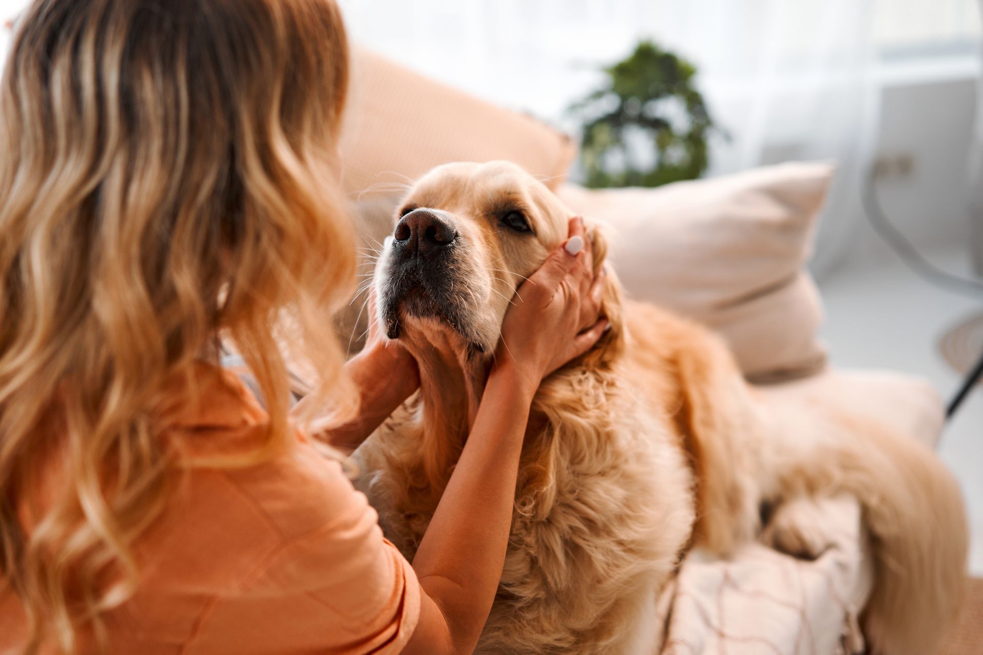 Woman petting a golden retriever; indoors, on a couch, gentle expression.