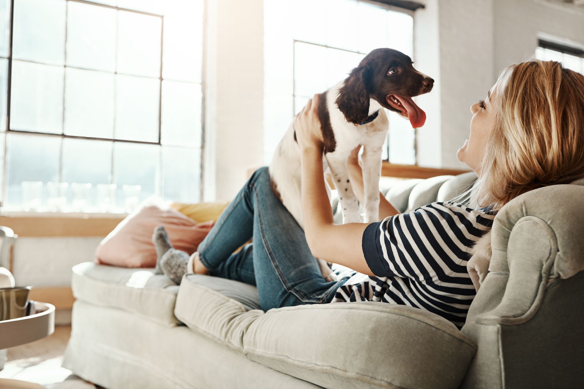 Woman lying on a couch holding up a small, brown and white dog. Smiling in a brightly lit room.