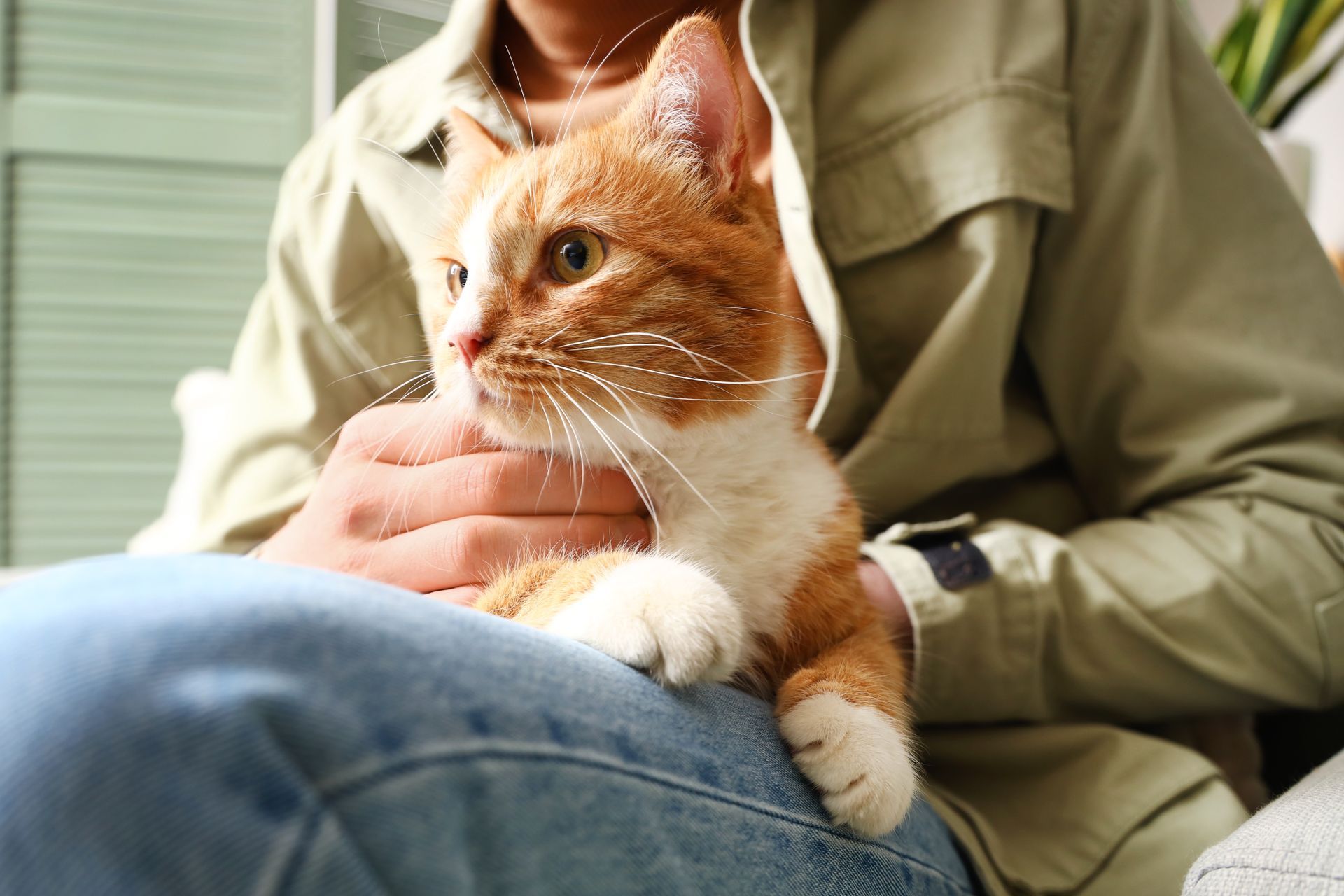 Woman smiles, holding a ginger cat in a cream sweater indoors. Sunlight shines.