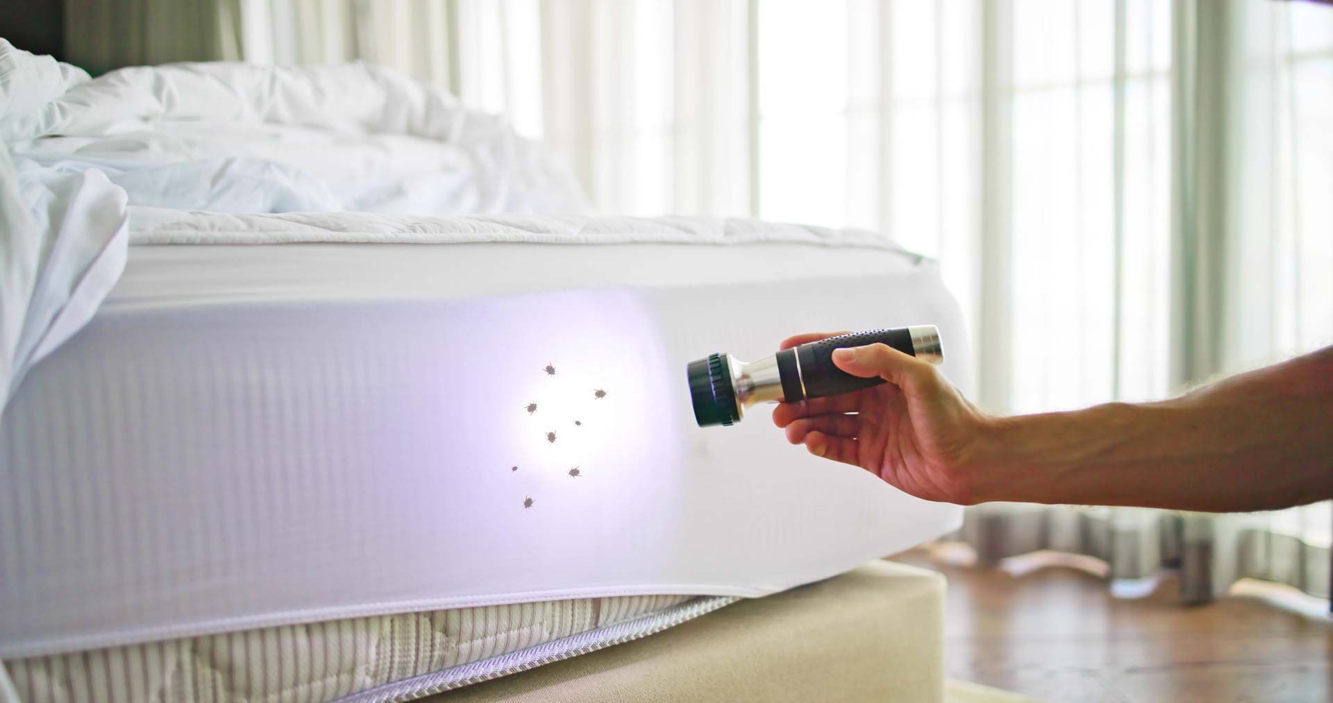 Hand holding flashlight, illuminating a mattress, likely searching for bed bugs.