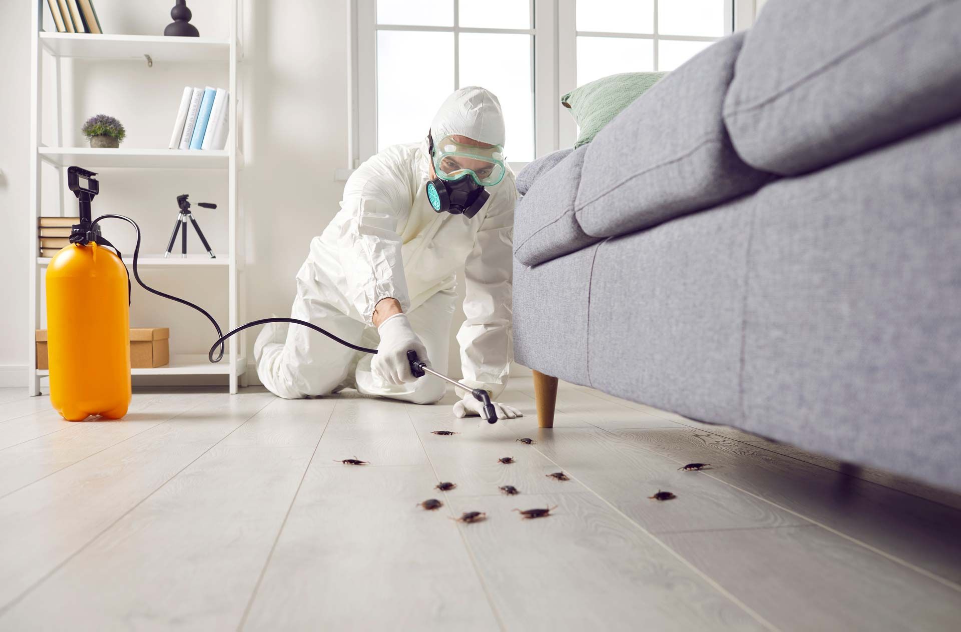 Pest control worker in protective gear sprays insecticide on cockroaches near a couch.