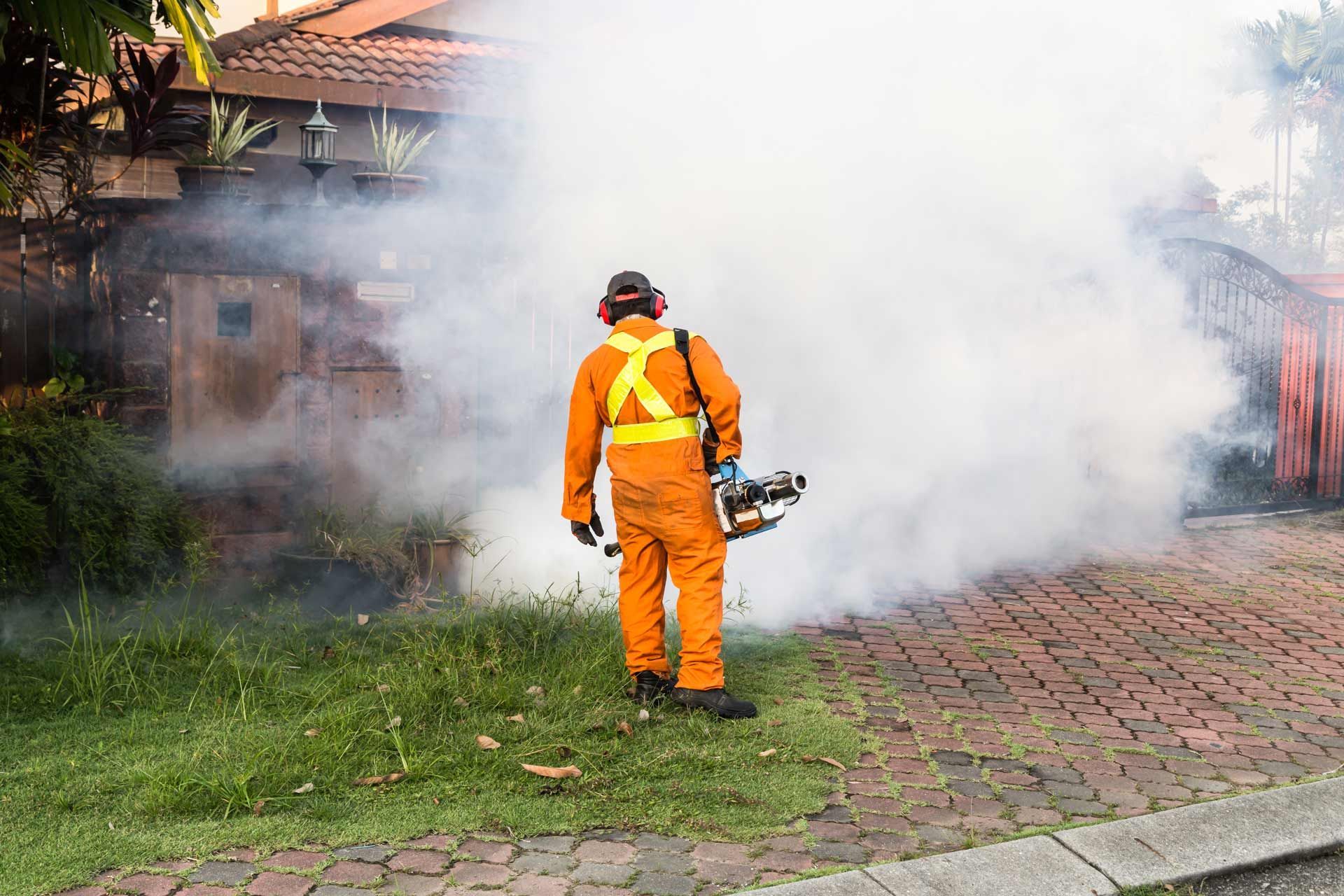 Person in protective gear spraying insecticide on a residential lawn, enveloped in a cloud of mist.