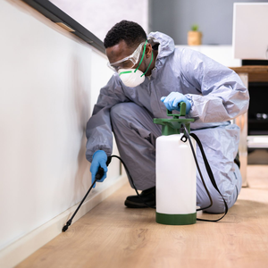 A person in a protective suit, mask, and gloves kneeling to spray pesticide along a baseboard in an indoor setting.