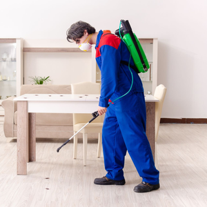 A professional pest control technician wearing a blue uniform and face mask sprays insecticide around a dining room table.
