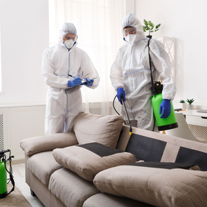Two people in protective suits and masks disinfect a sofa with a spray pump while one takes notes.