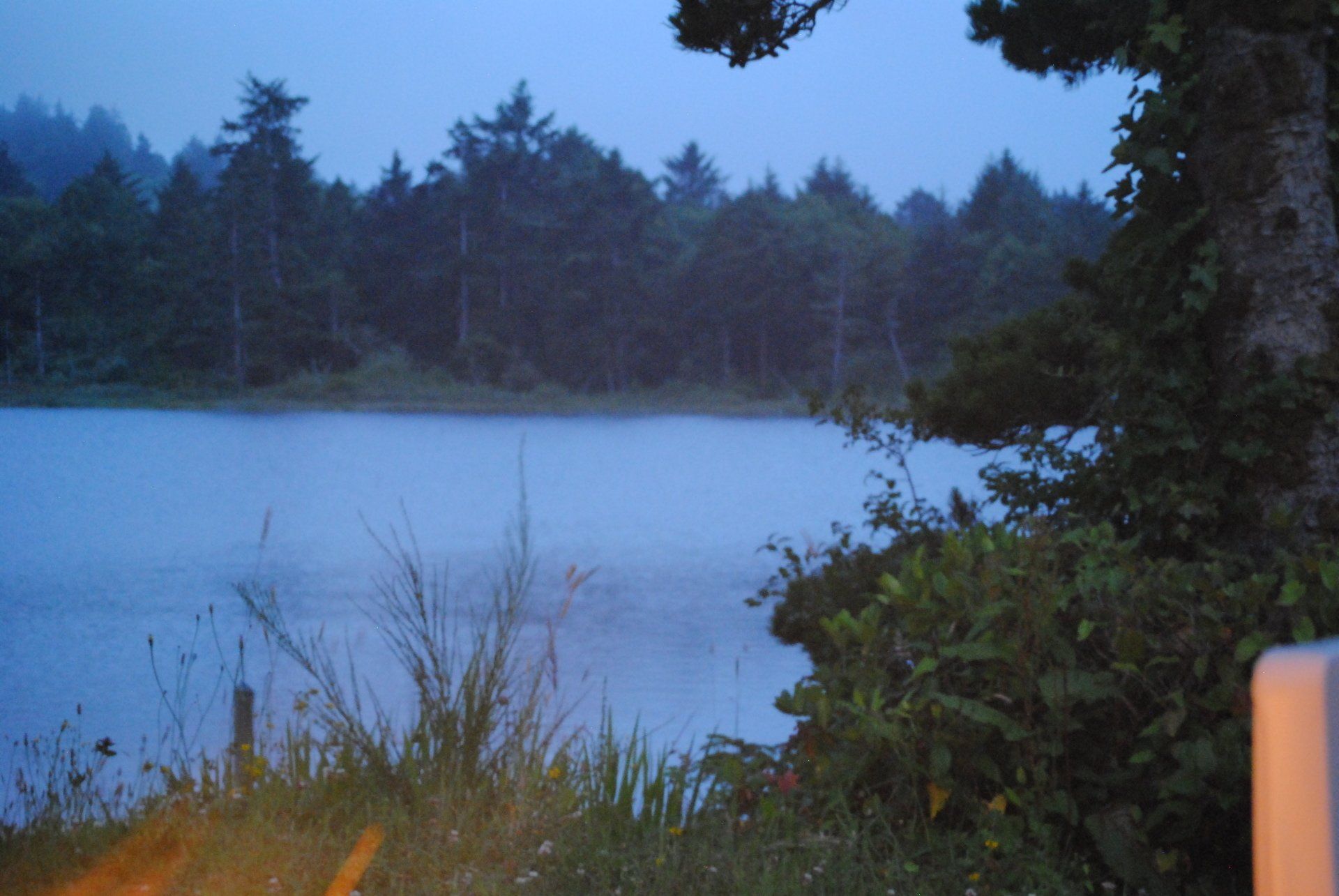 A lake with trees in the background and a fence in the foreground.