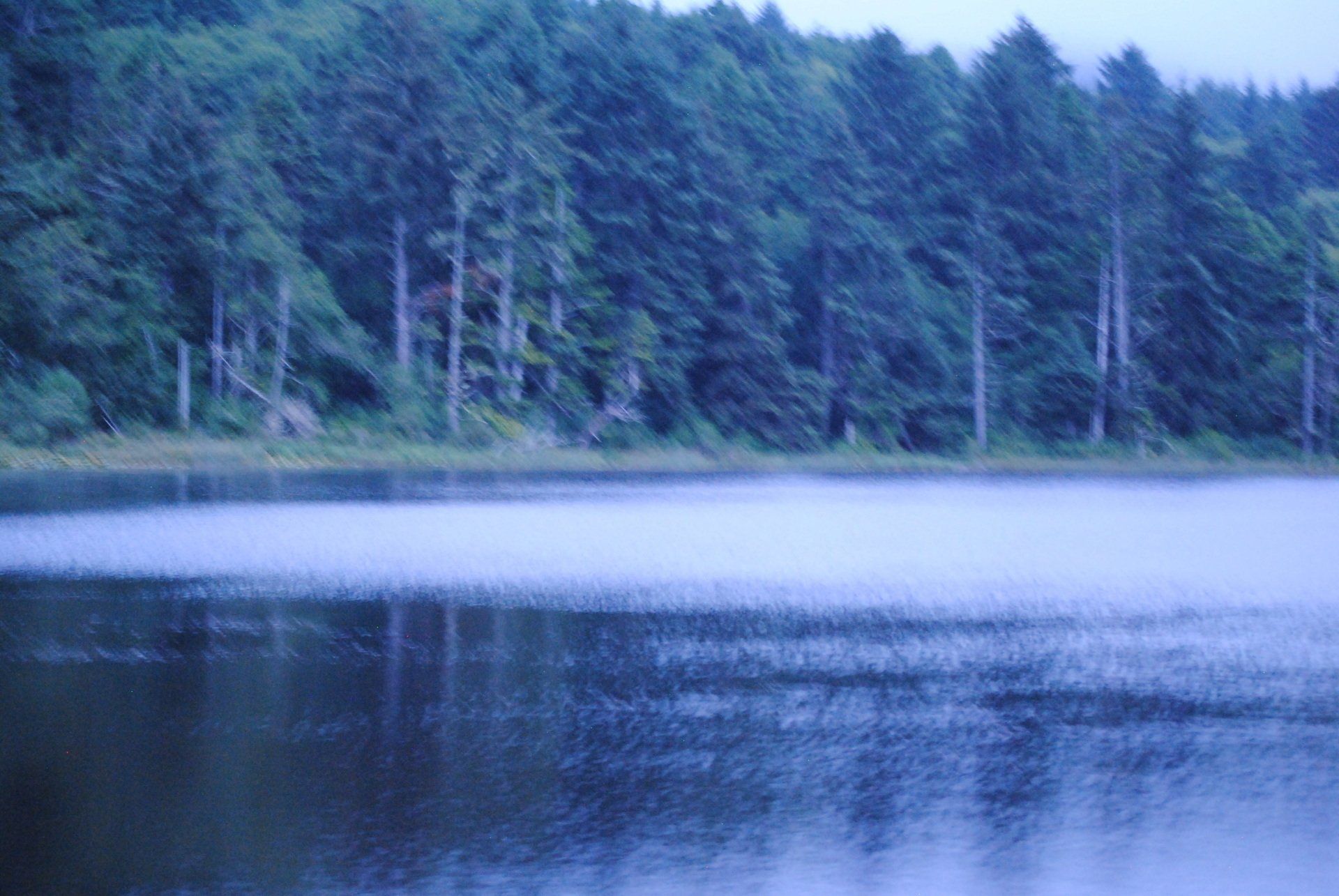 A lake surrounded by trees on a cloudy day