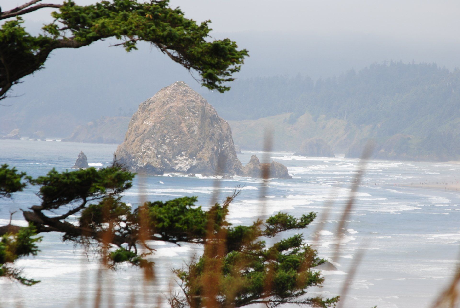 A large rock in the middle of the ocean with trees in the foreground