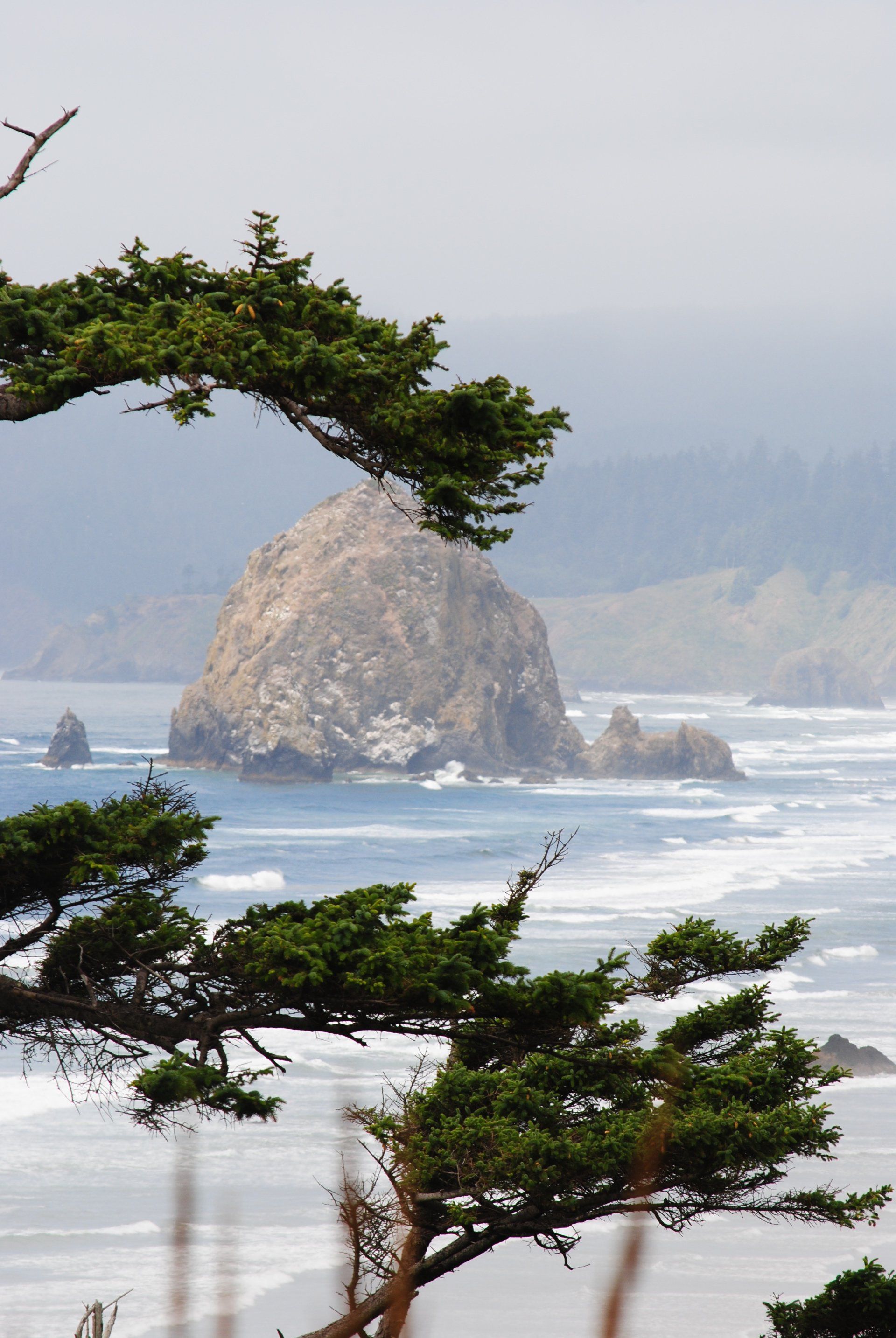 A large rock in the middle of the ocean with trees in the foreground