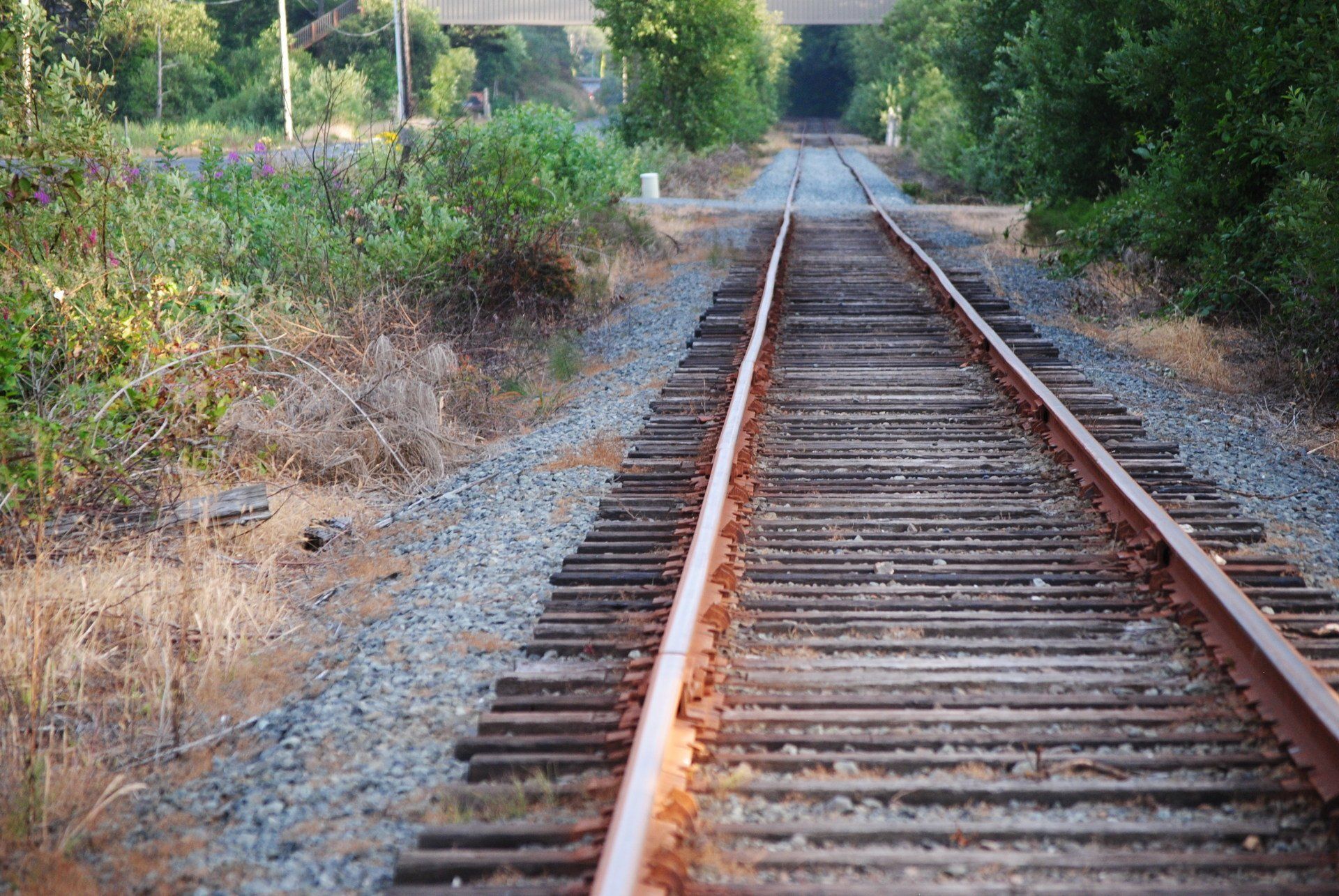 A train track with a tunnel in the background