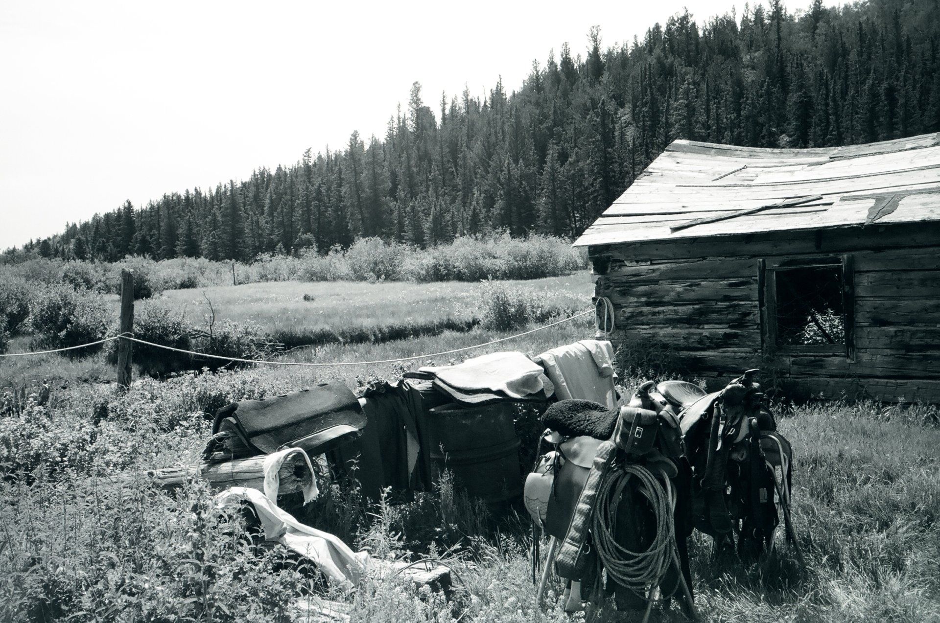A black and white photo of a log cabin in the woods