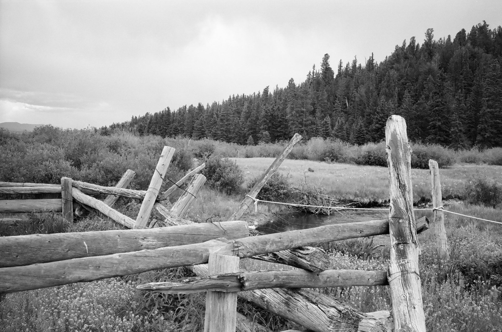 A black and white photo of a wooden fence in a field.