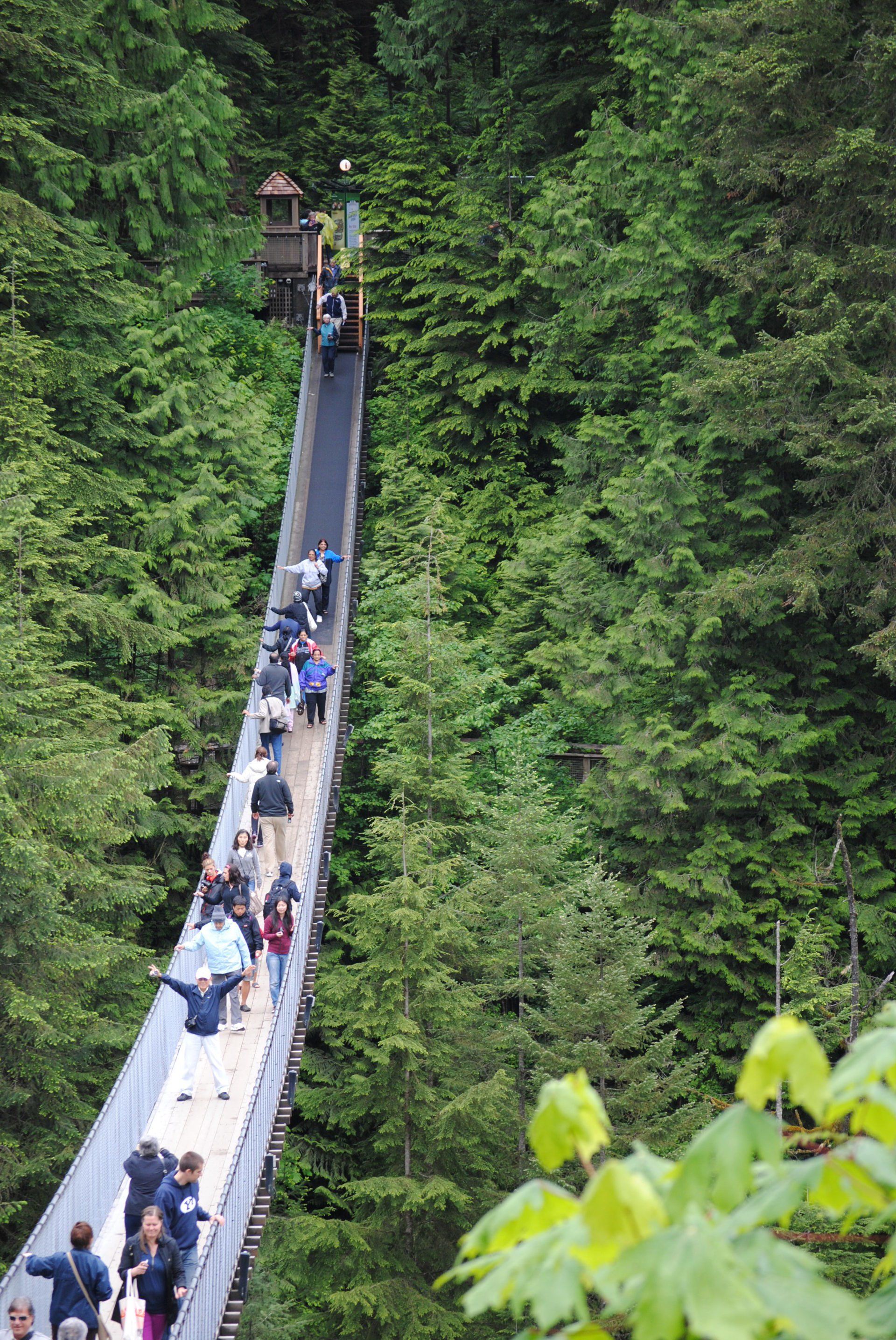 A group of people are walking across a suspension bridge in the woods.