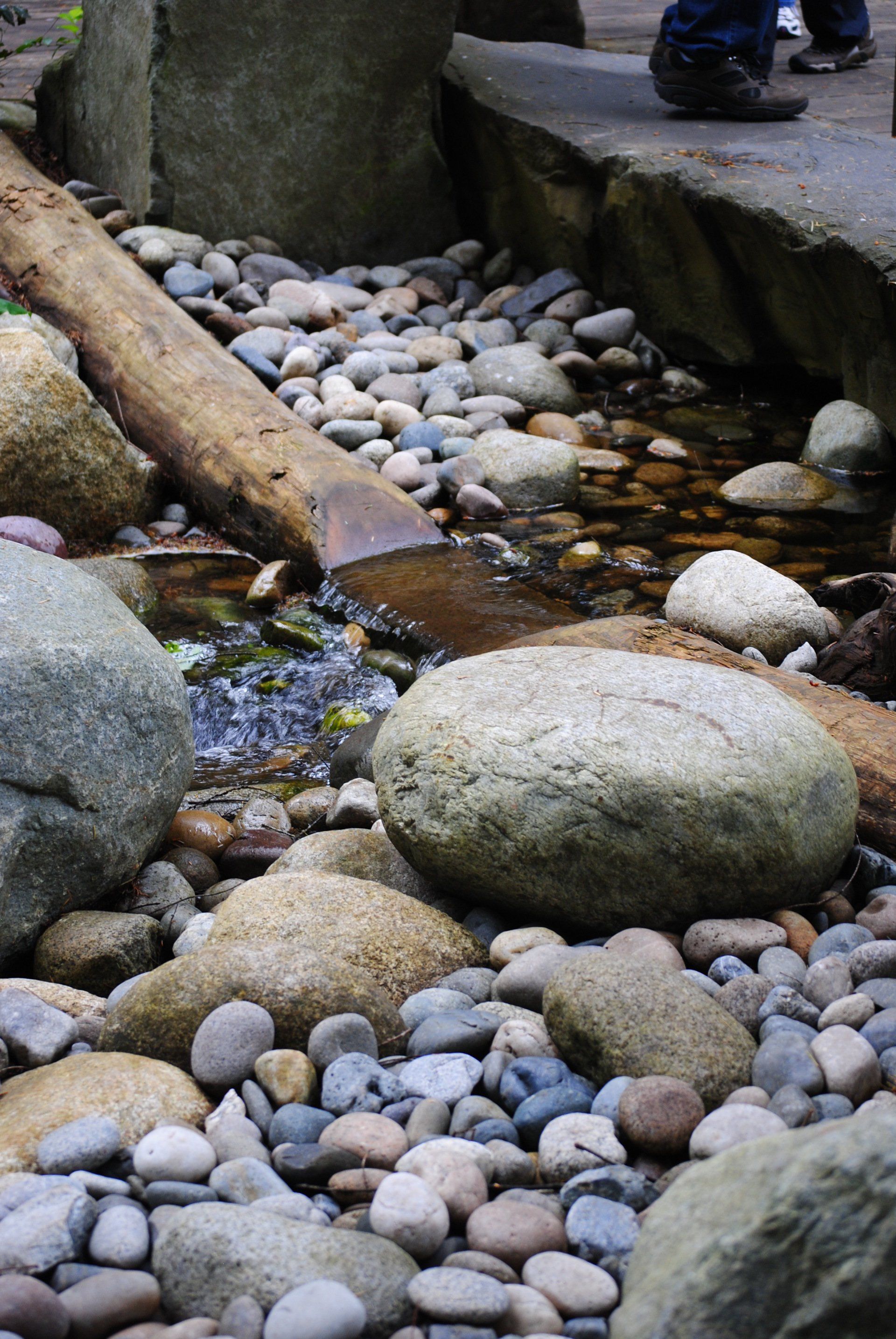 A stream of water is surrounded by rocks and a log.