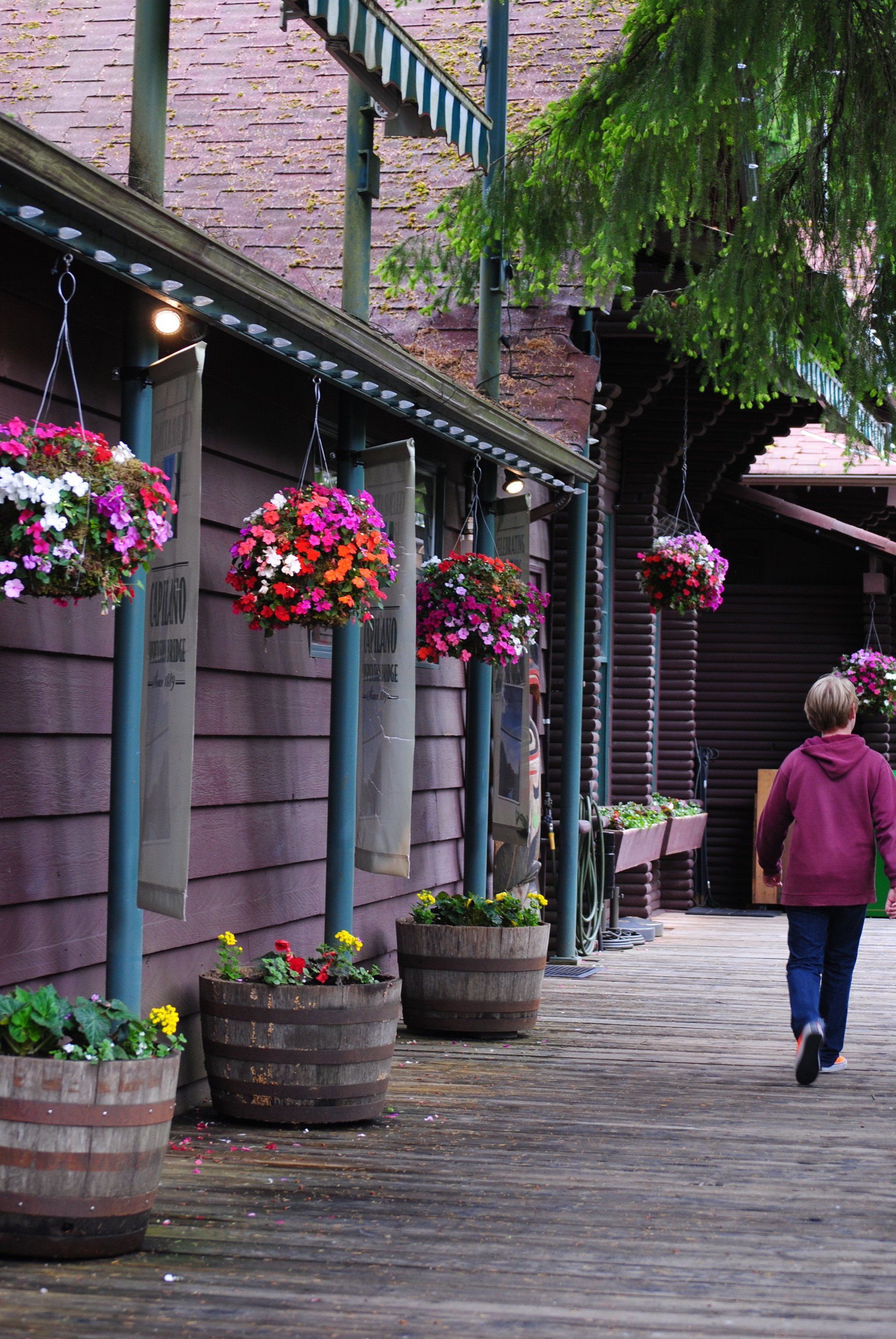 A woman in a red jacket walks down a sidewalk with hanging baskets of flowers
