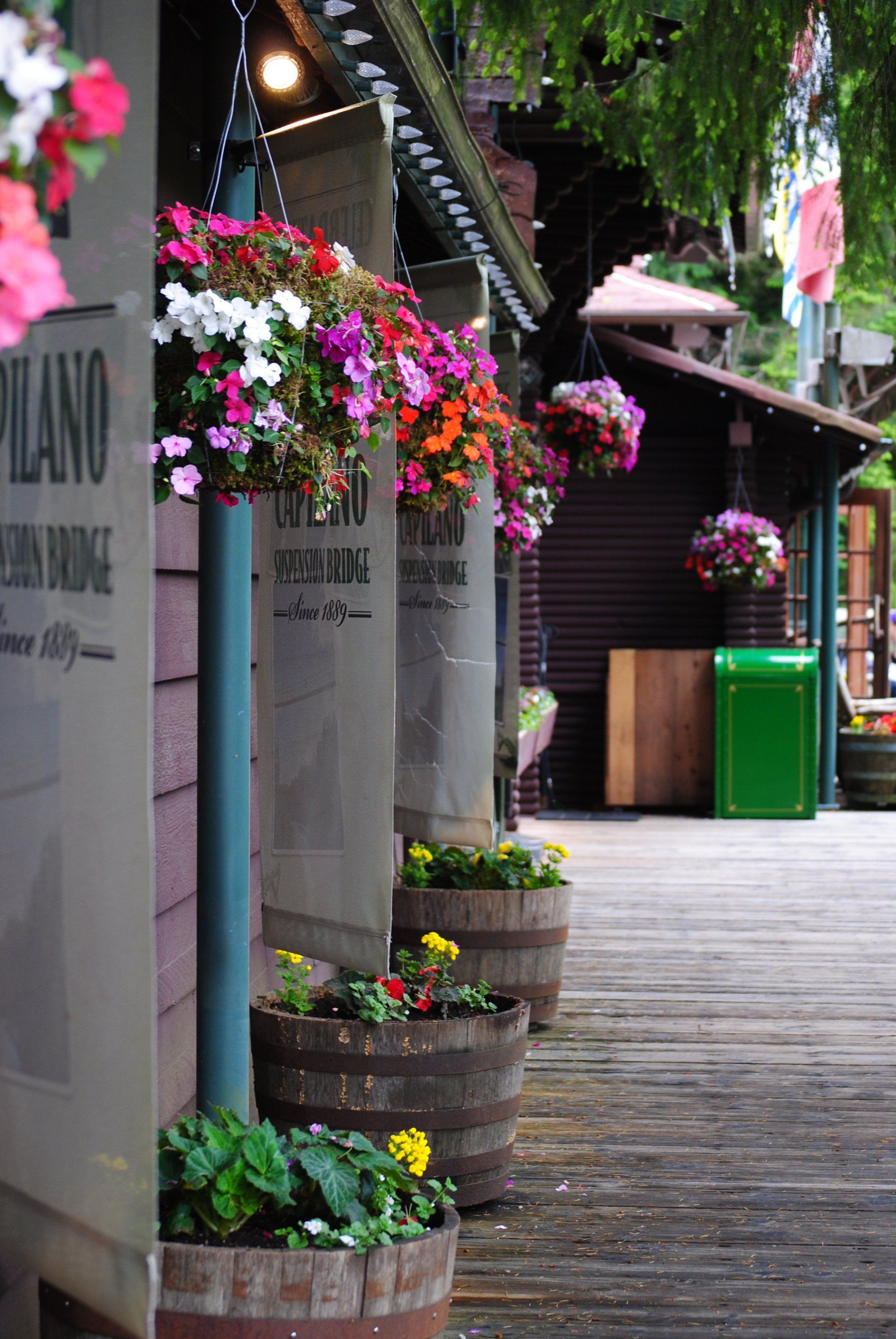 A row of barrels filled with flowers next to a sign that says piano