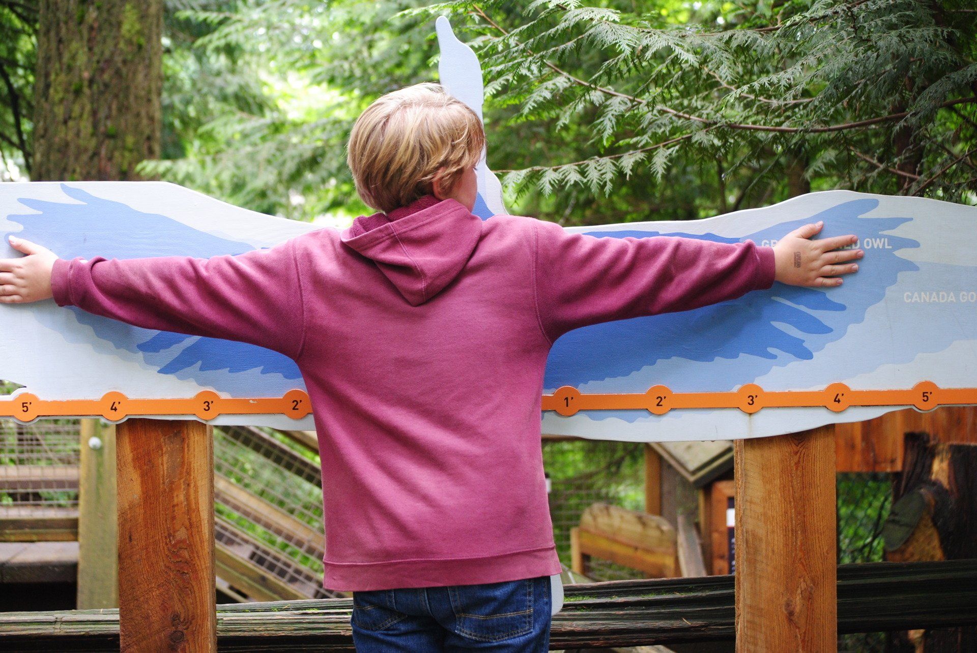 A person in a pink hoodie is standing in front of a wooden fence with their arms outstretched.