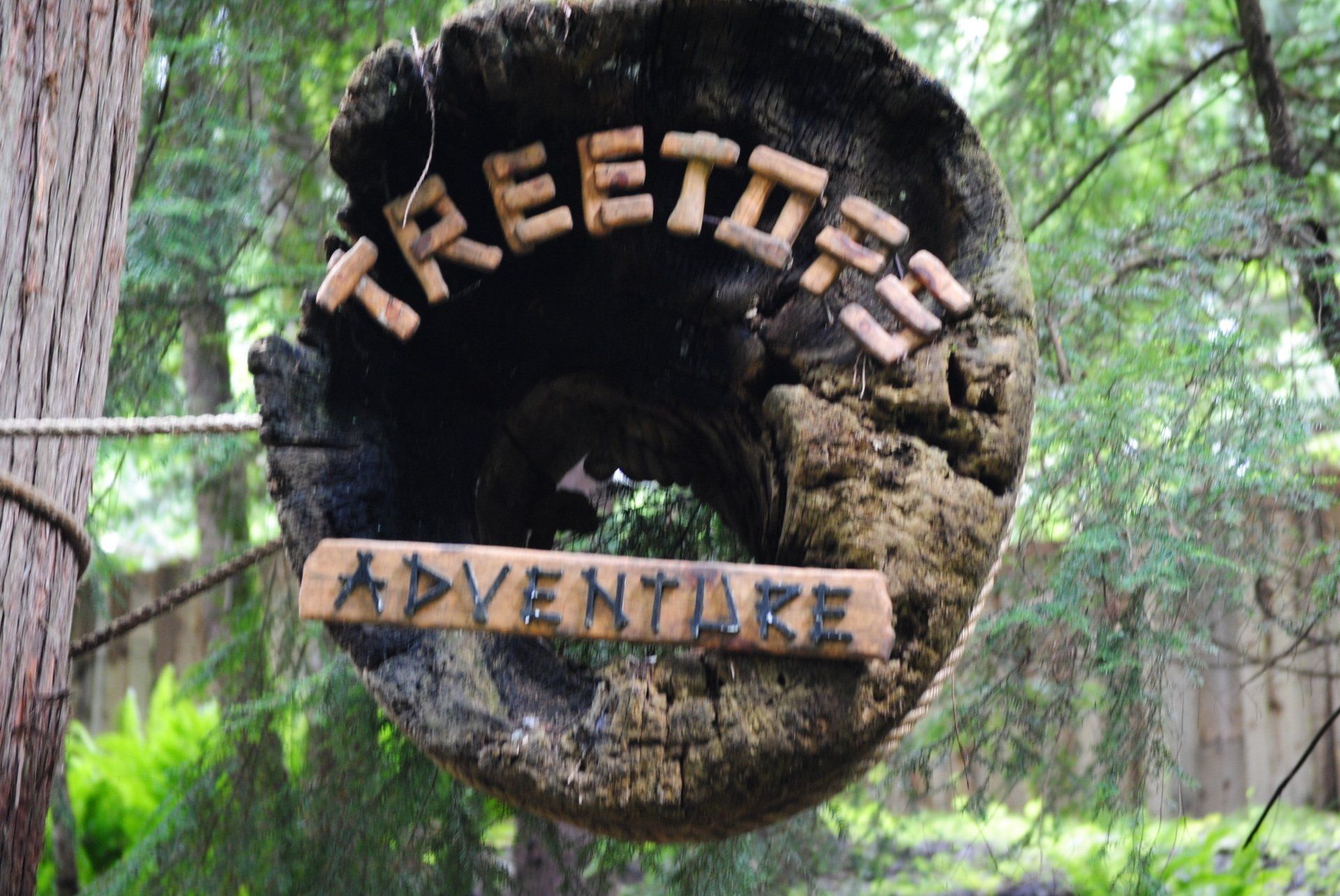 A tree stump with the words treetop adventure written on it