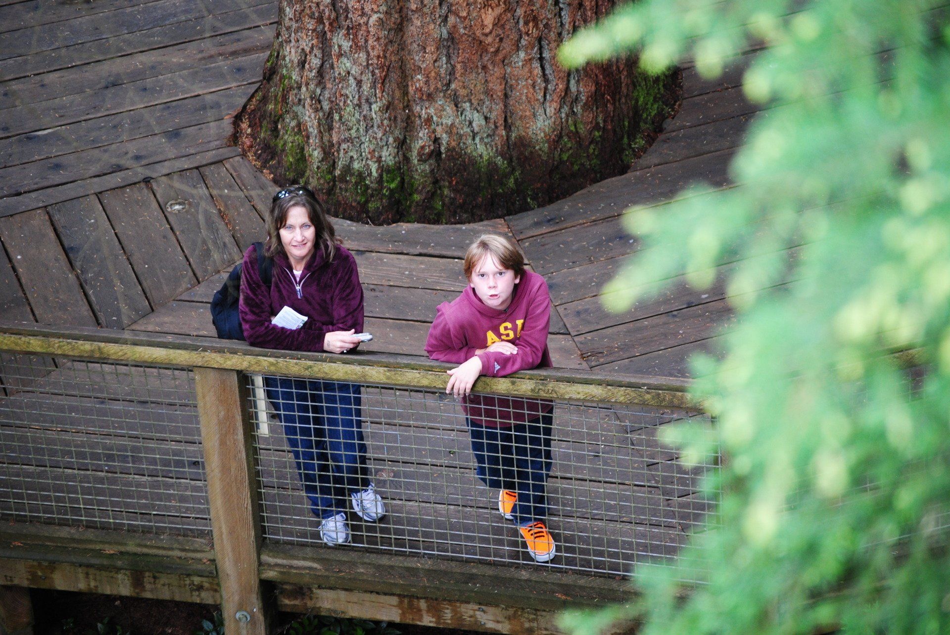 A woman and a boy are standing on a bridge looking at a tree.