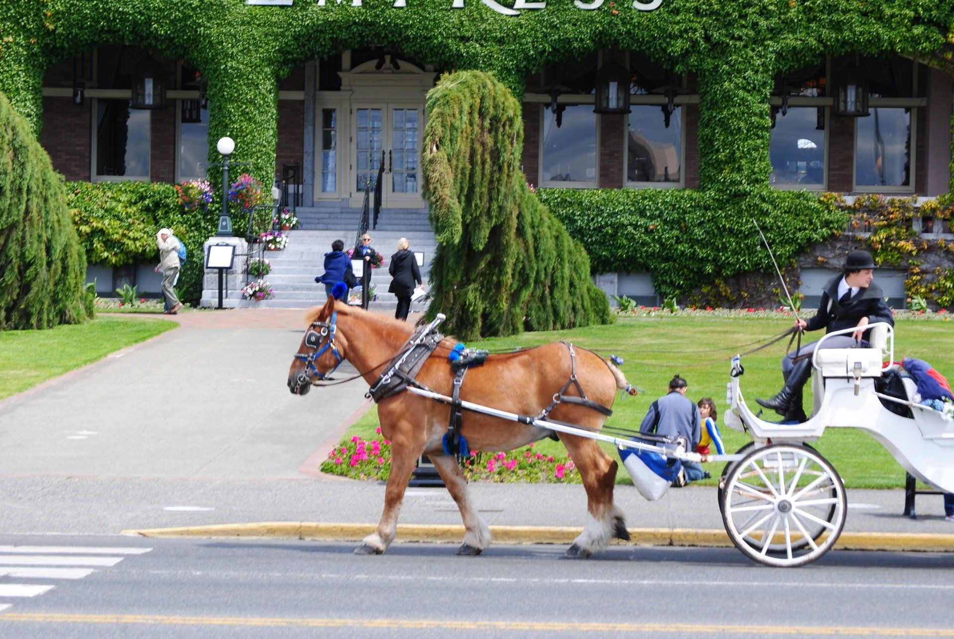 A horse drawn carriage is pulled by a brown horse