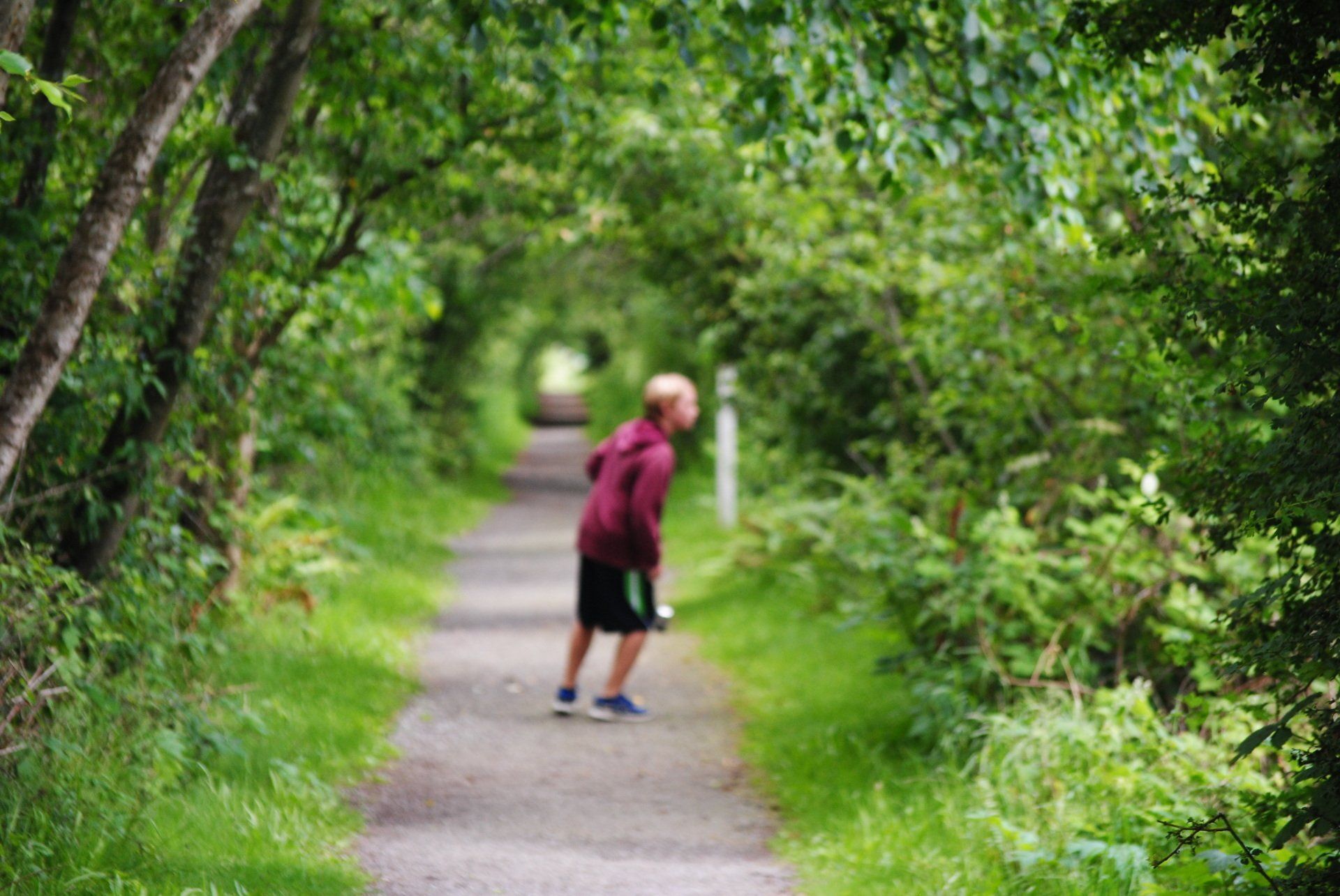 A man is standing on a path in the woods.