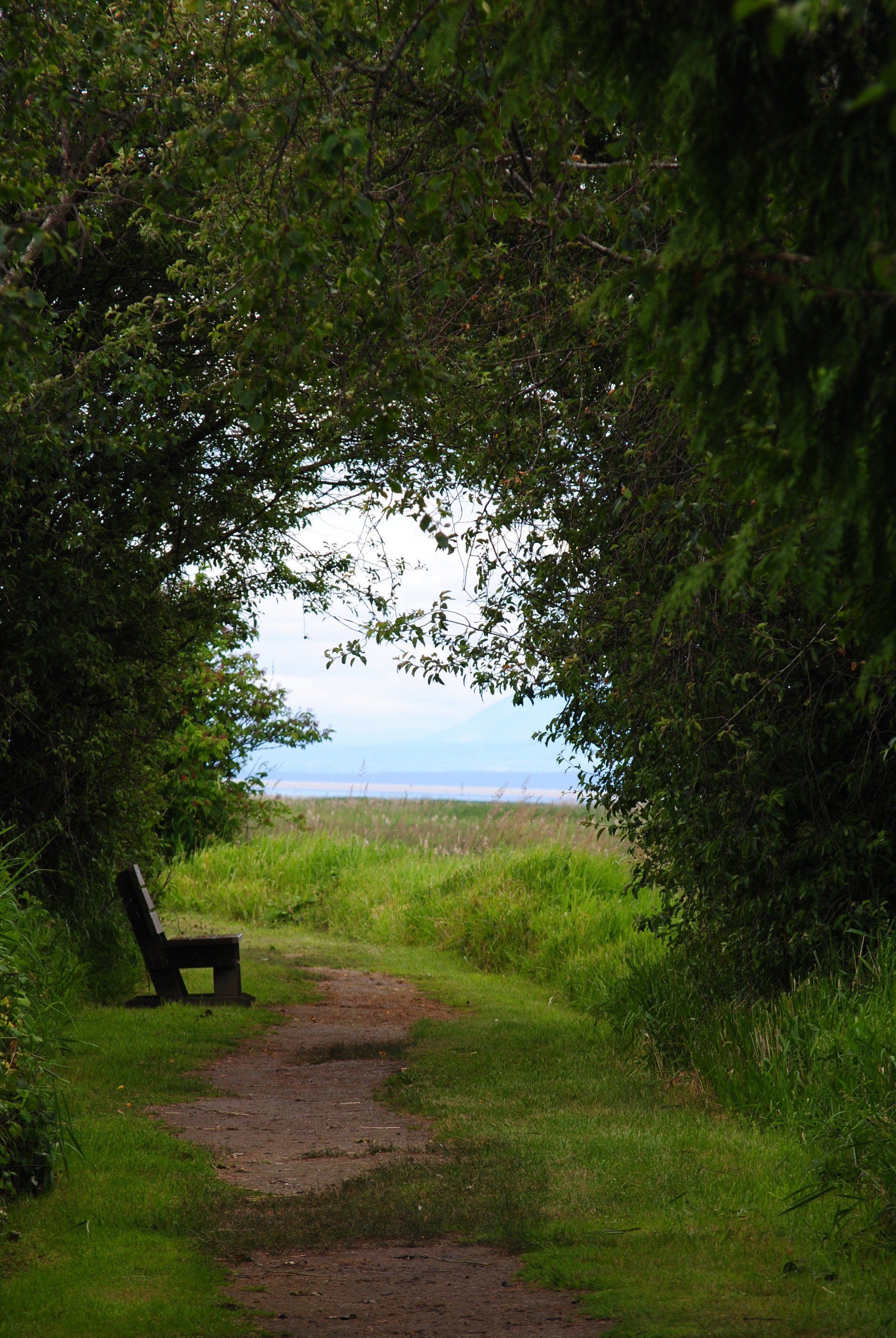 A path with a bench in the middle of it