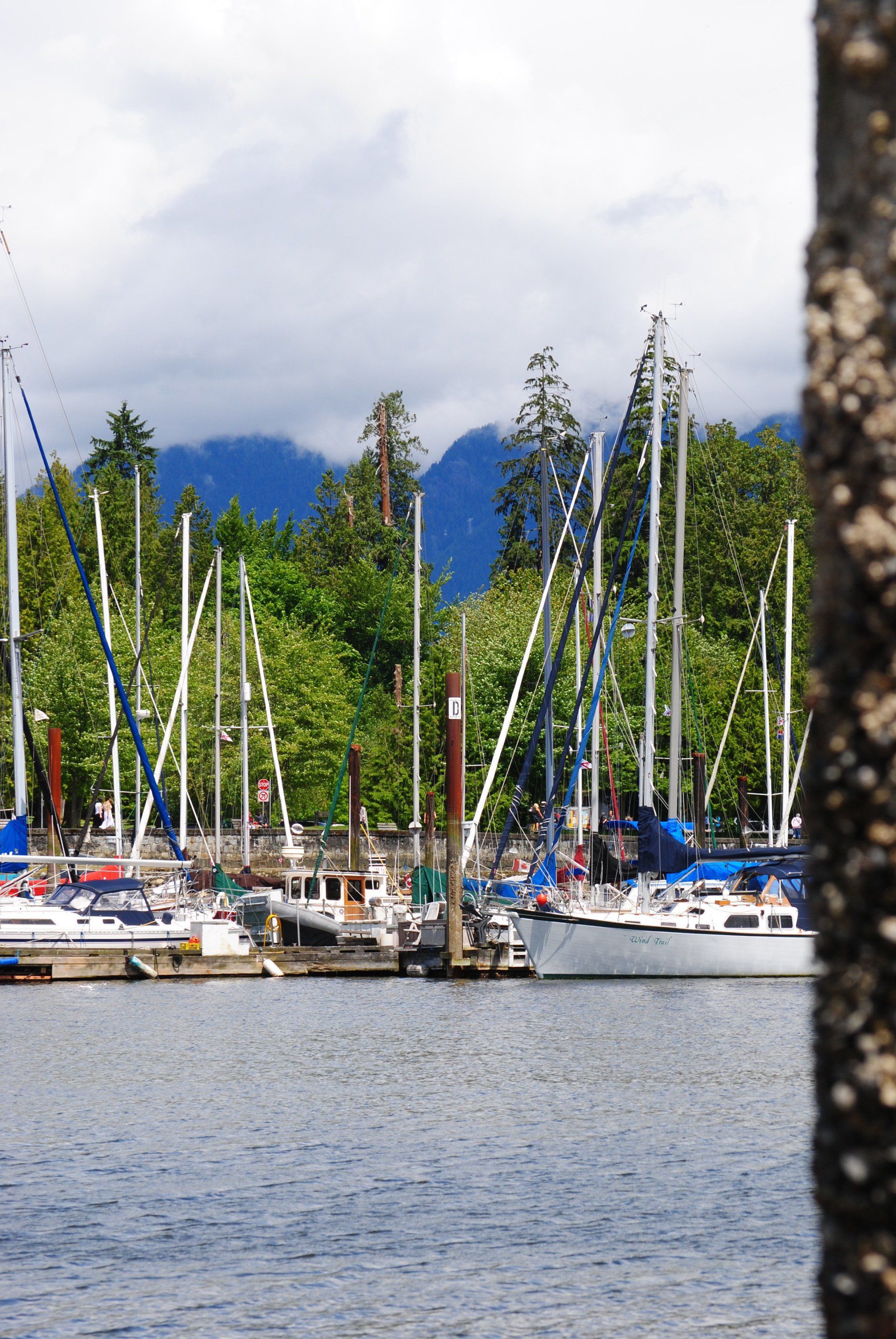 A bunch of boats are docked in a harbor with mountains in the background