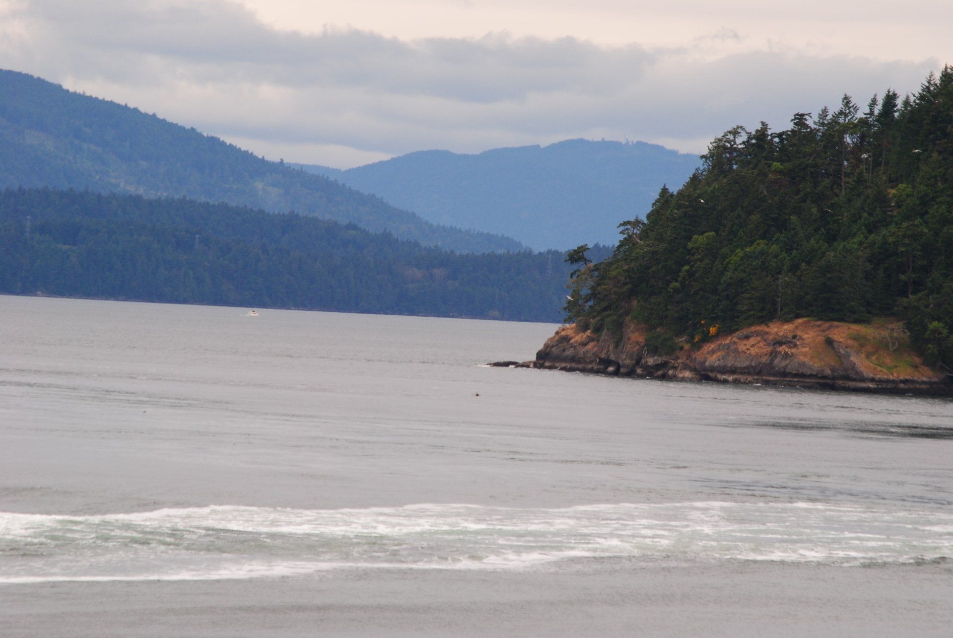 A large body of water with mountains in the background and trees on the shore.