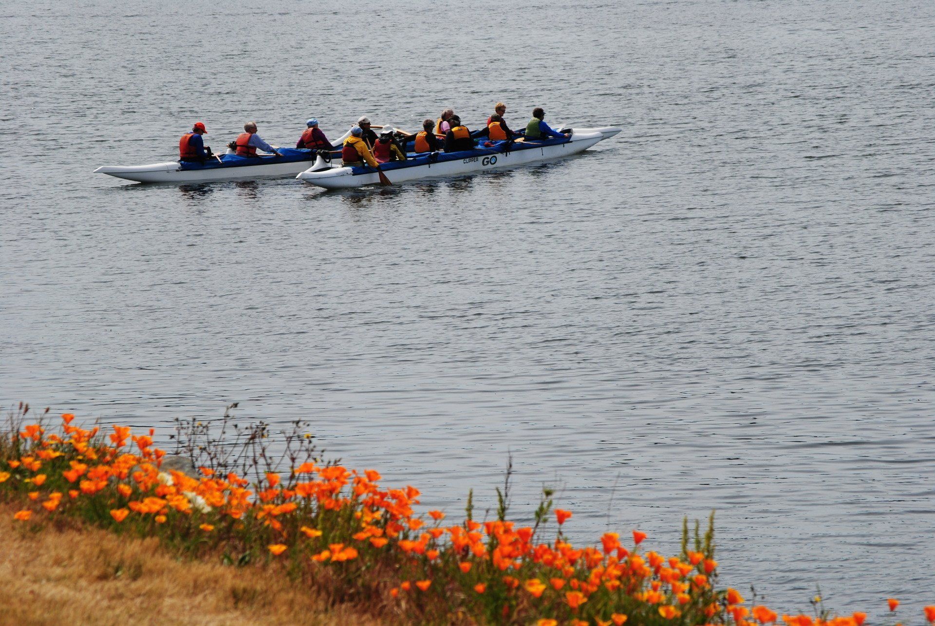 A group of people are rowing a boat on a lake.