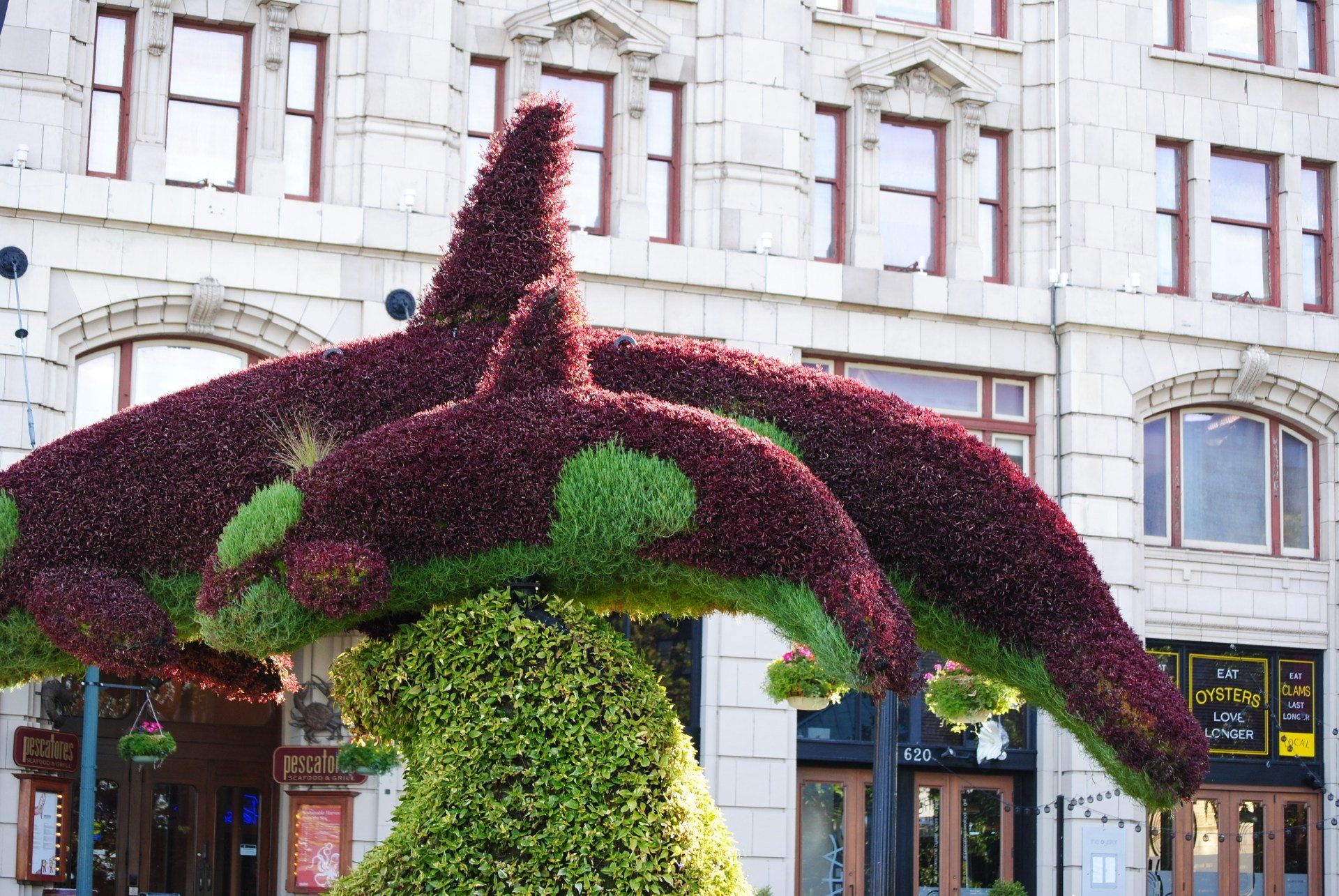 A sculpture of a shark made of flowers in front of a building