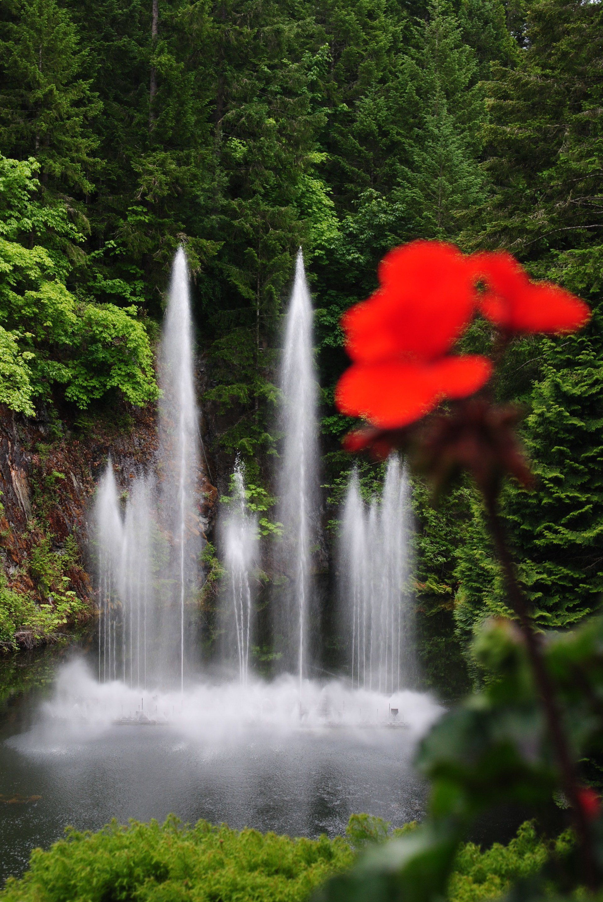 A waterfall with a red flower in the foreground