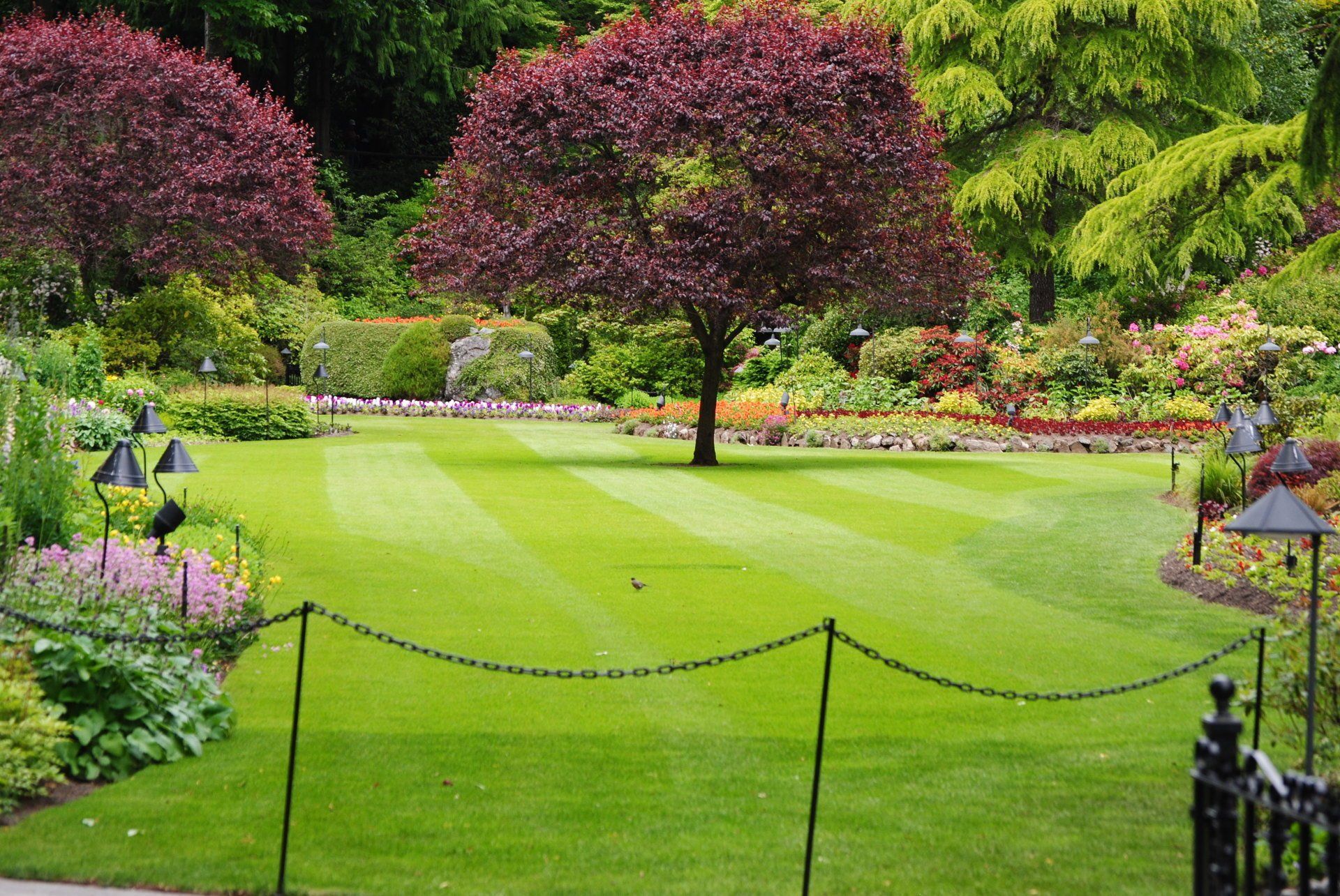 A lush green park with trees and flowers and a chain link fence