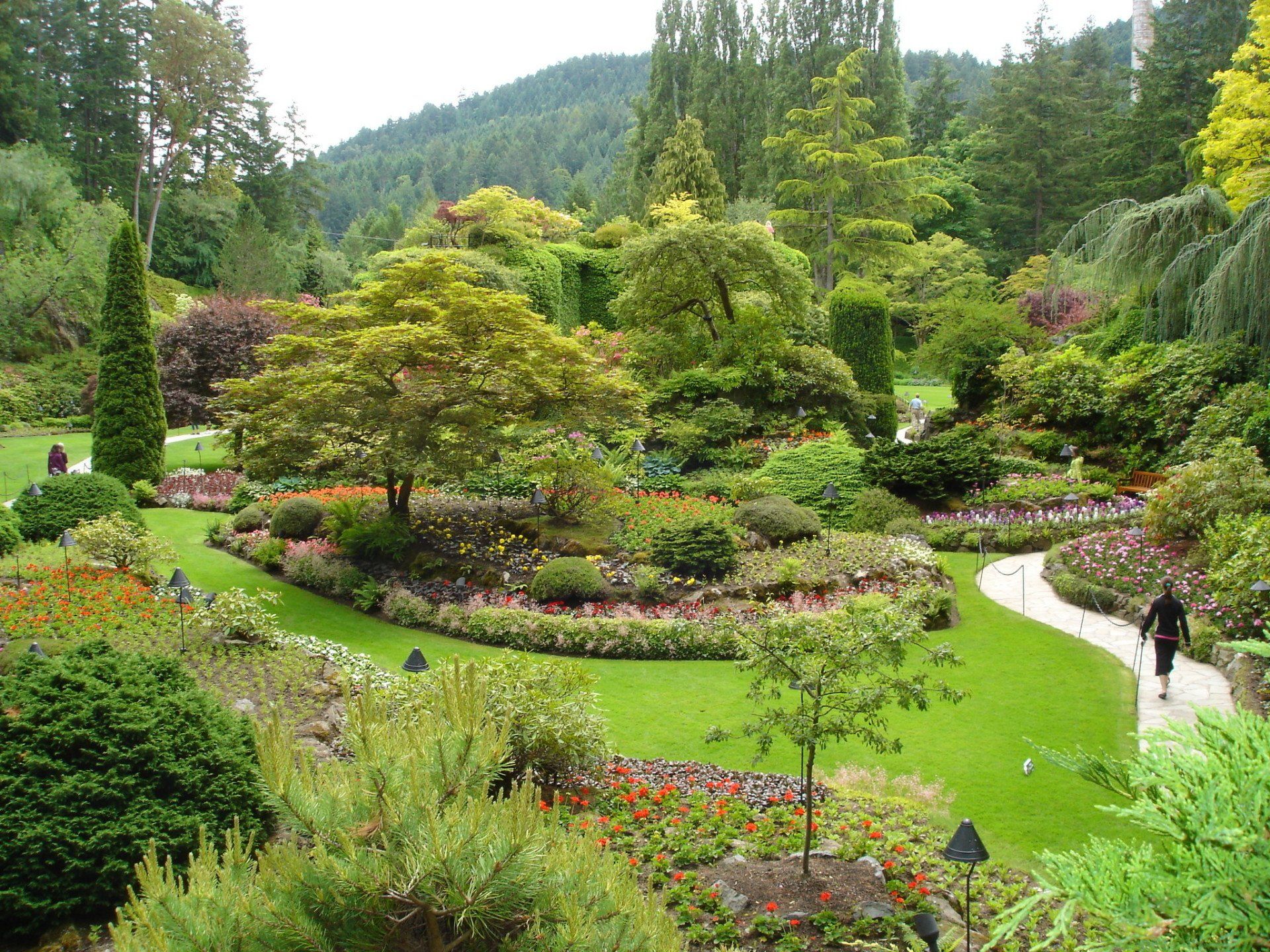 A man is walking through a lush green garden