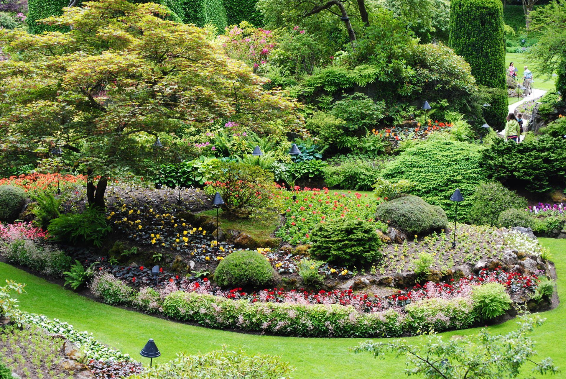 A garden filled with lots of flowers and trees