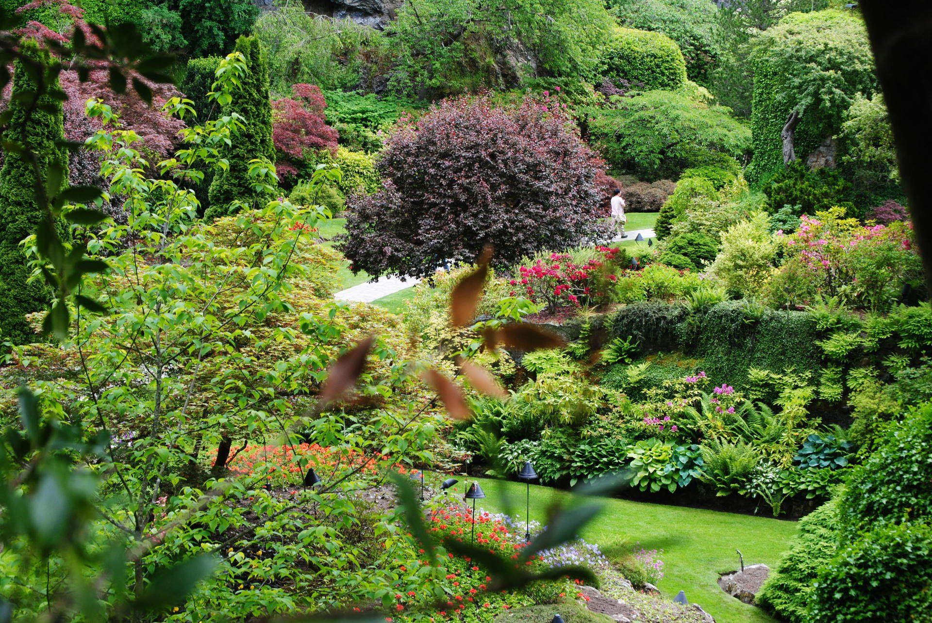 A garden filled with lots of trees and flowers