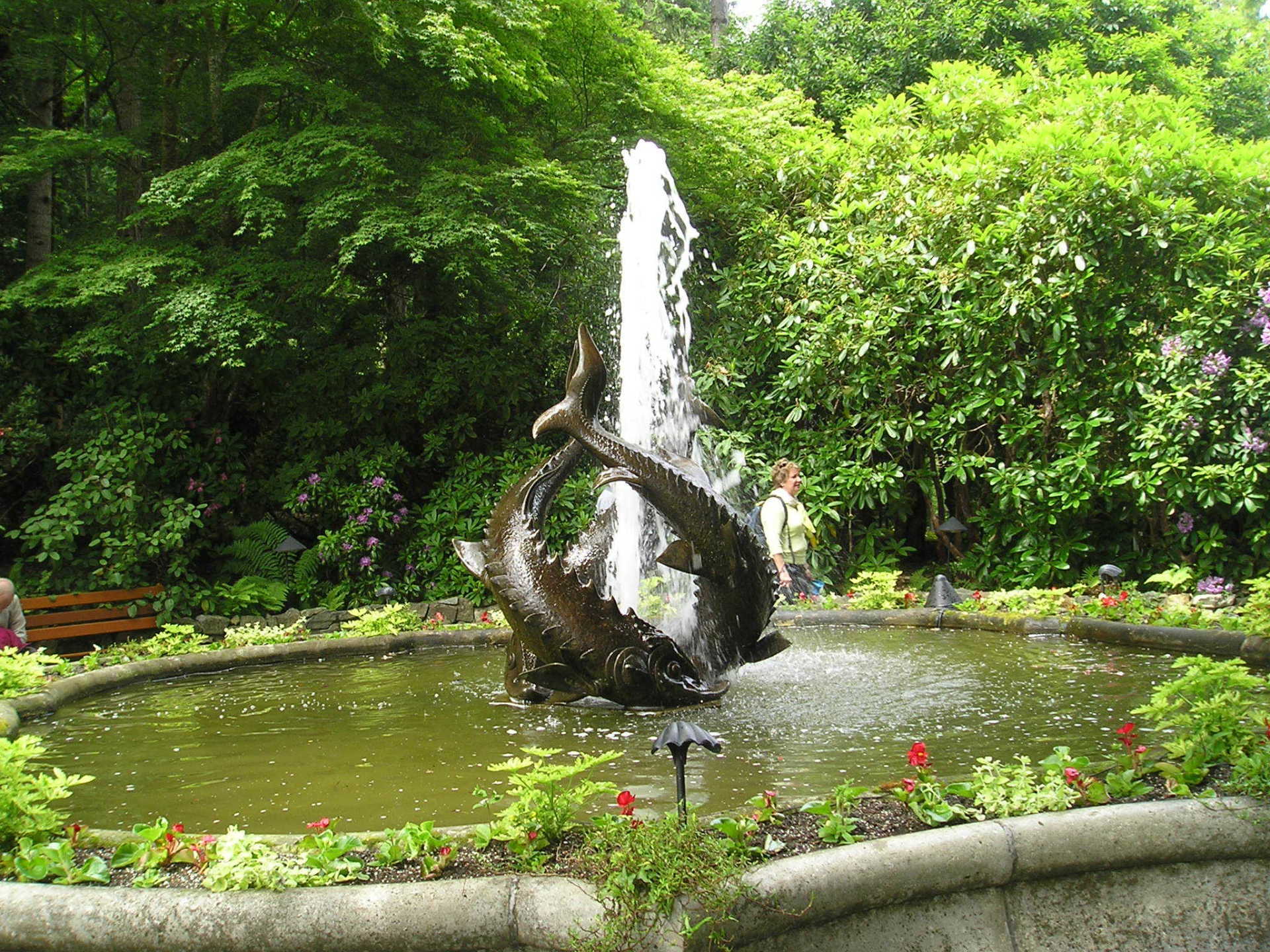 A fountain with a statue of a dolphin in the middle of it
