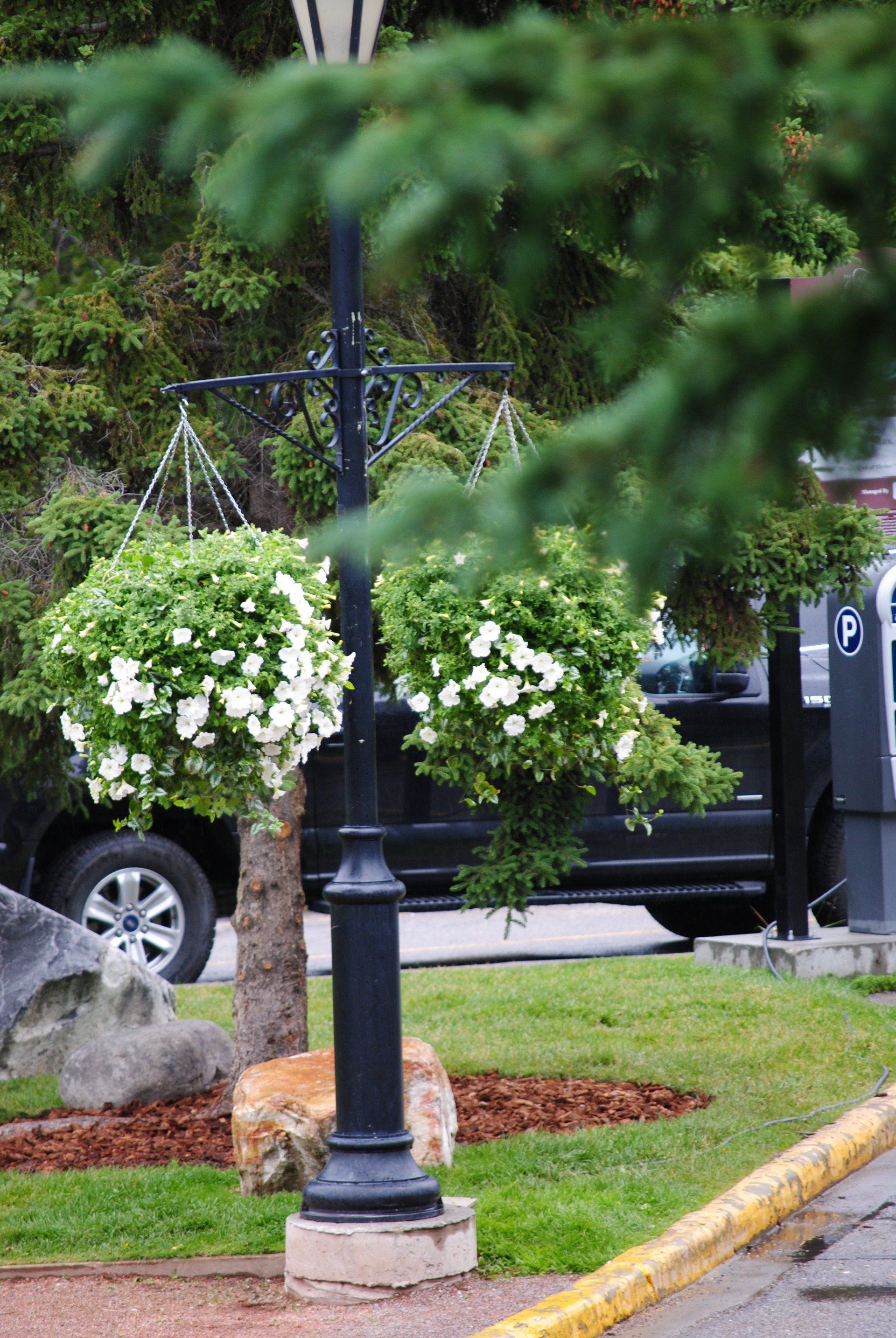A black truck is parked in a parking lot next to a street light.