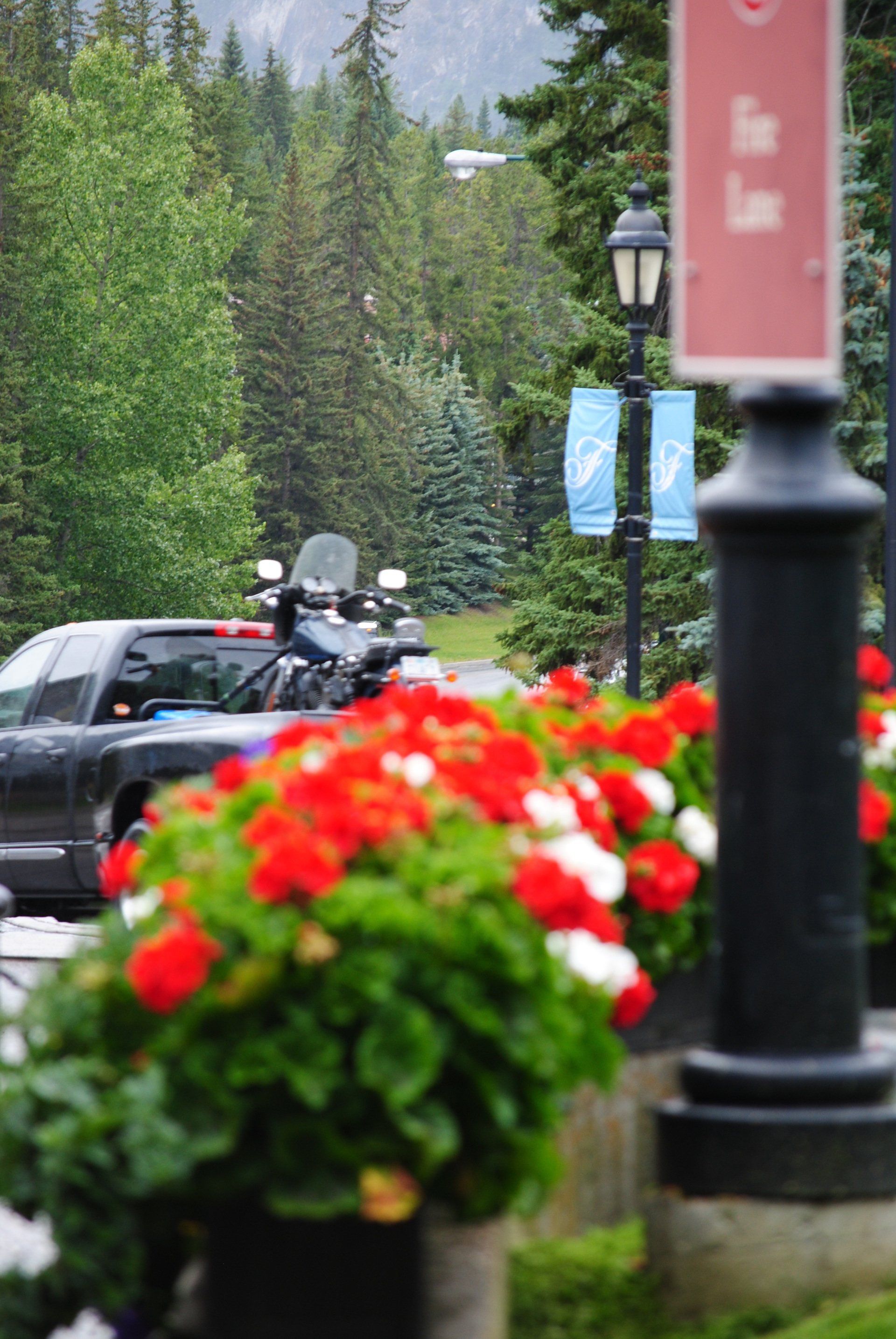 A motorcycle is parked in a parking lot with flowers in the foreground.