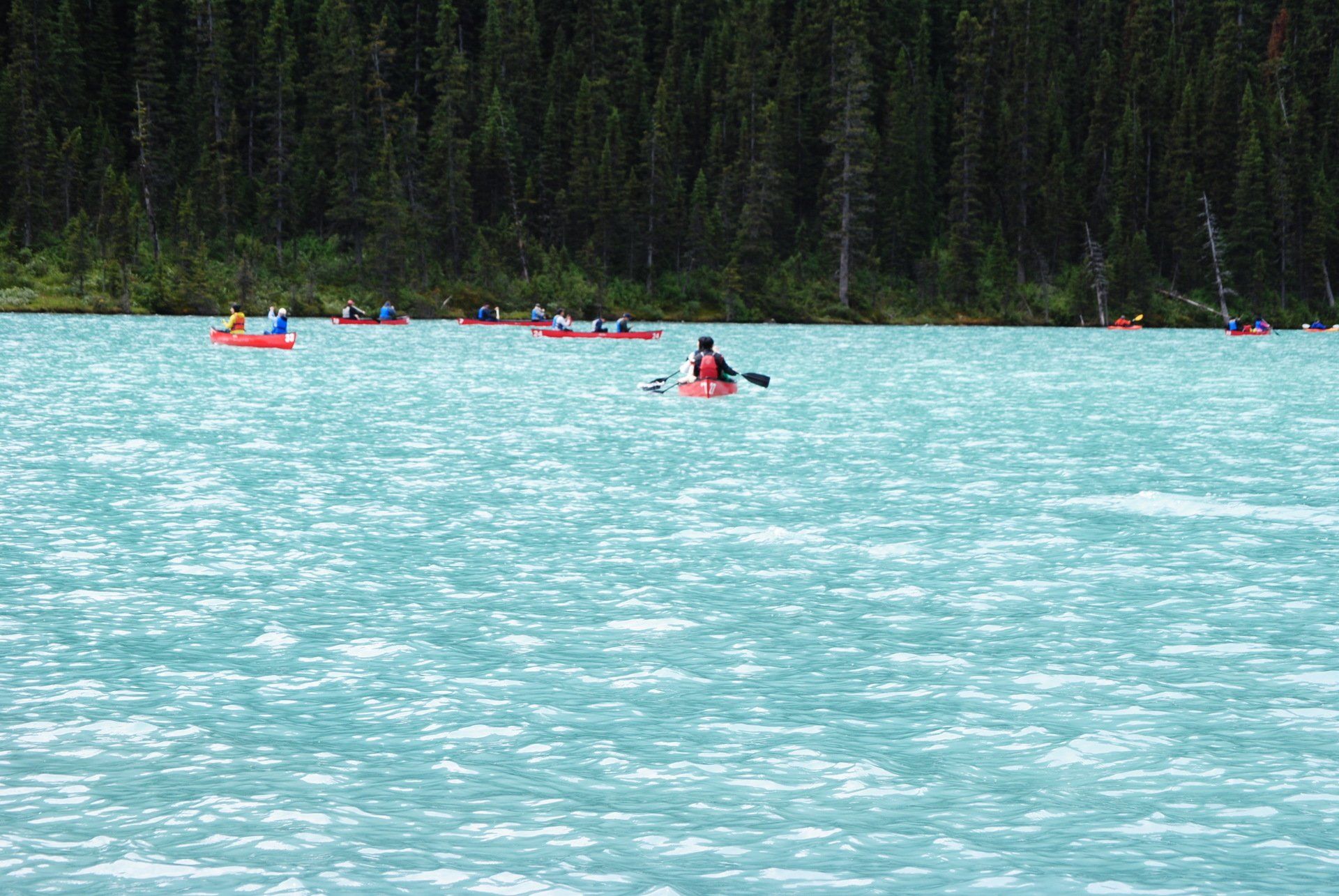 A group of people are kayaking on a lake surrounded by trees.