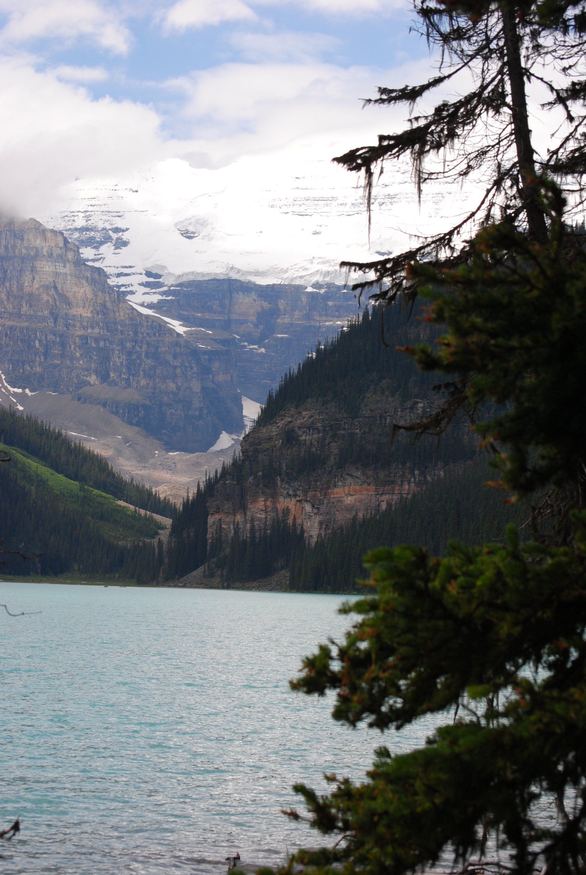 A lake with mountains in the background and trees in the foreground