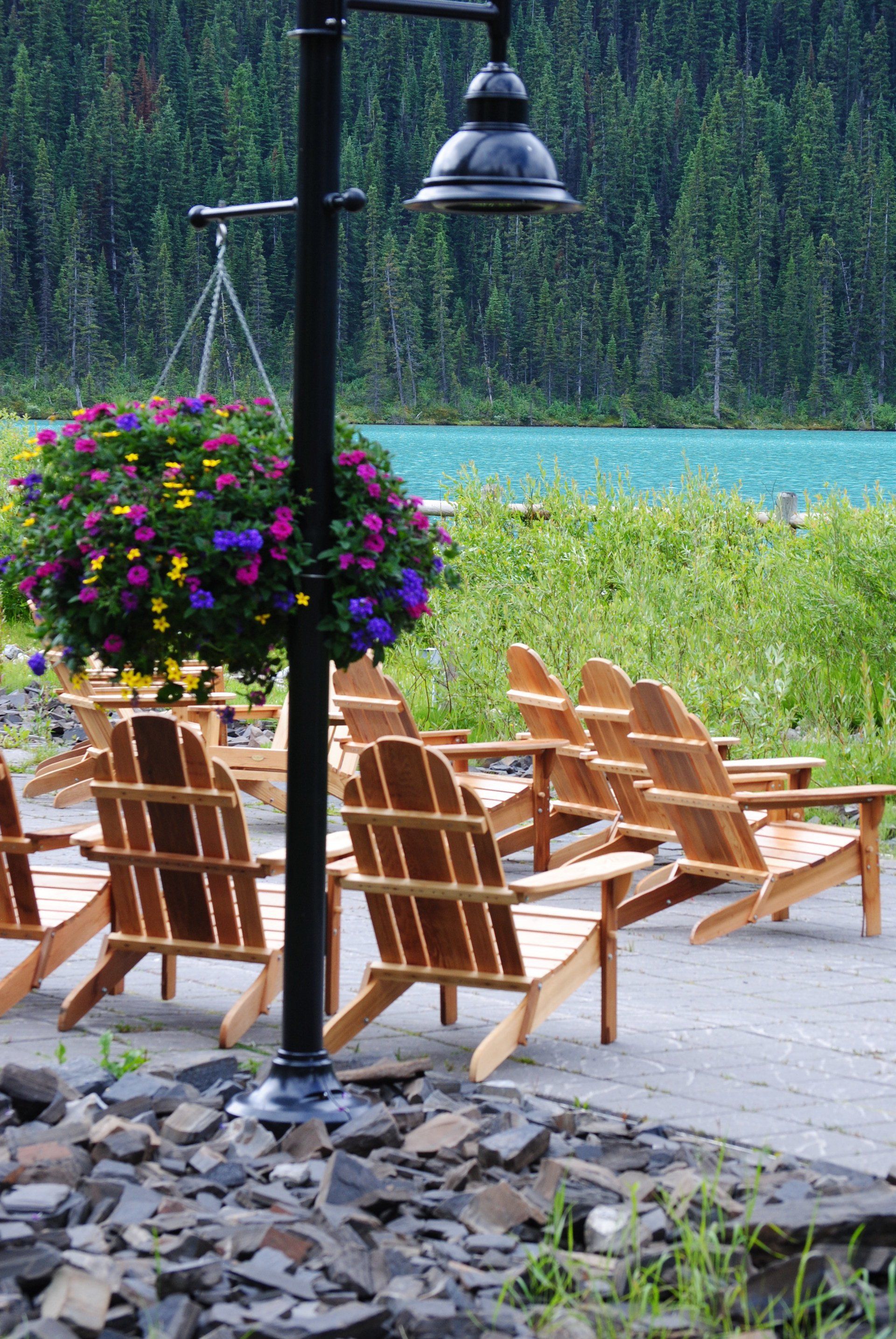 A row of wooden chairs are lined up in front of a lake