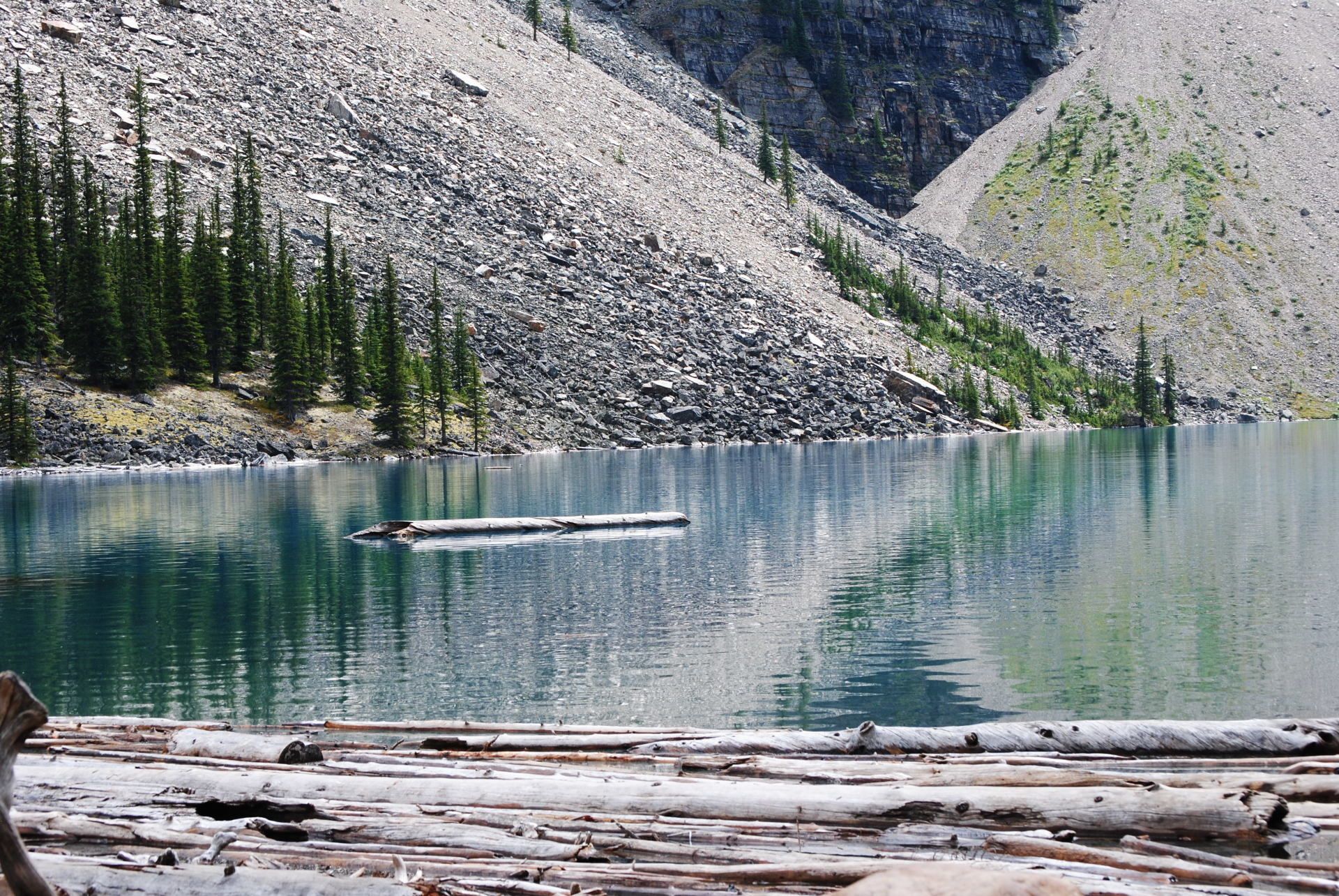 A log is floating in a lake with mountains in the background