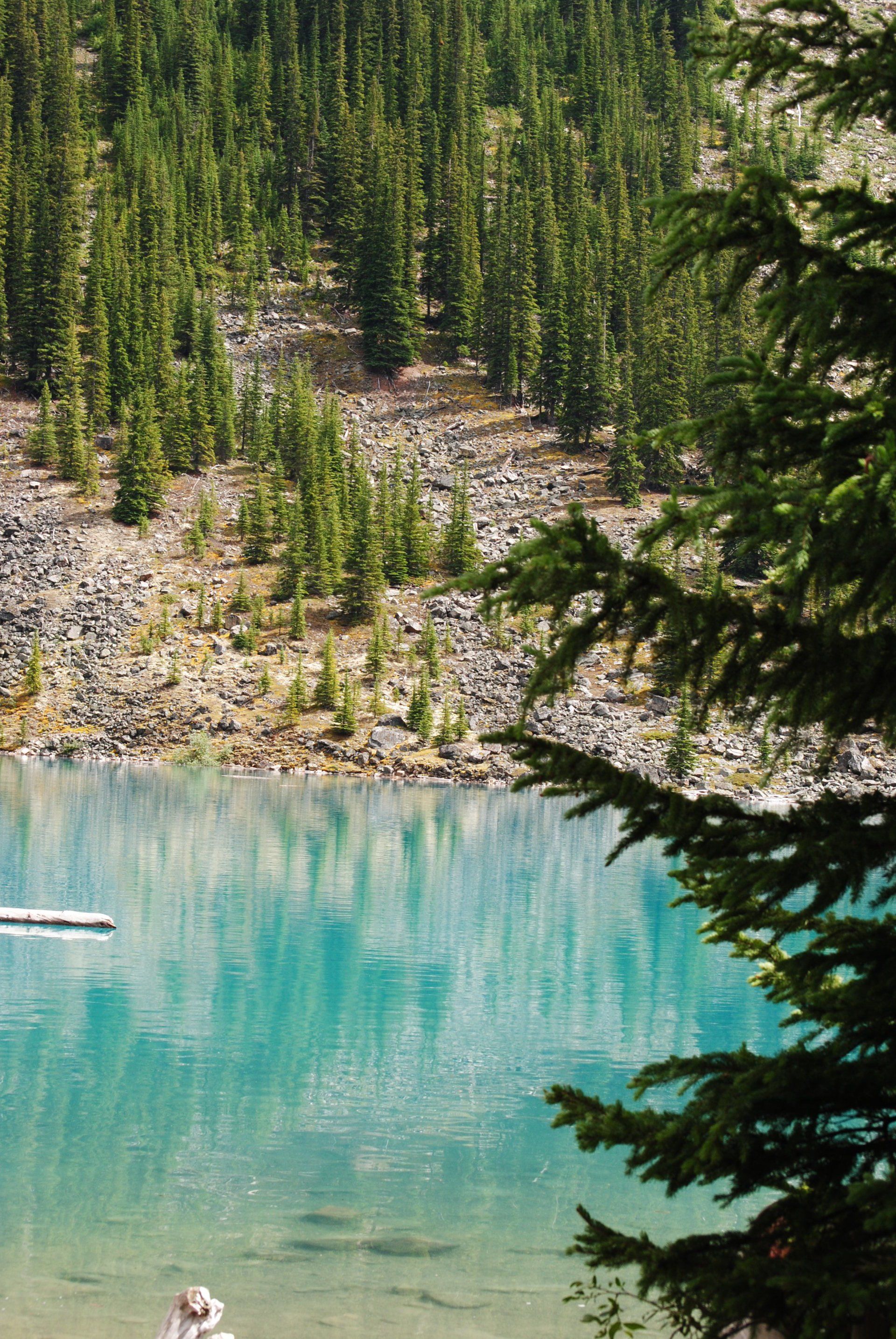 A lake surrounded by trees and rocks in the middle of a forest.