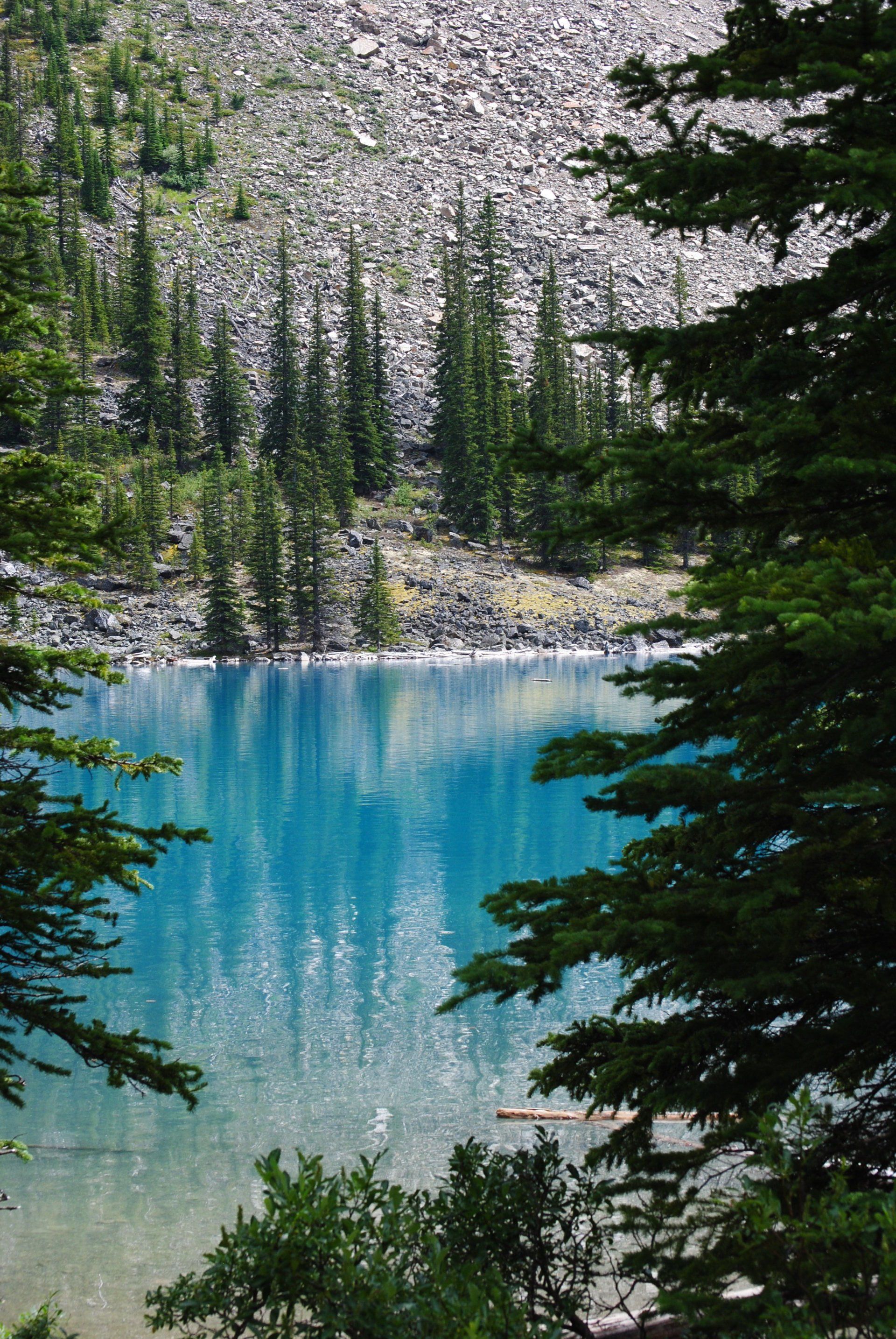 A blue lake surrounded by trees and rocks in the middle of a forest.
