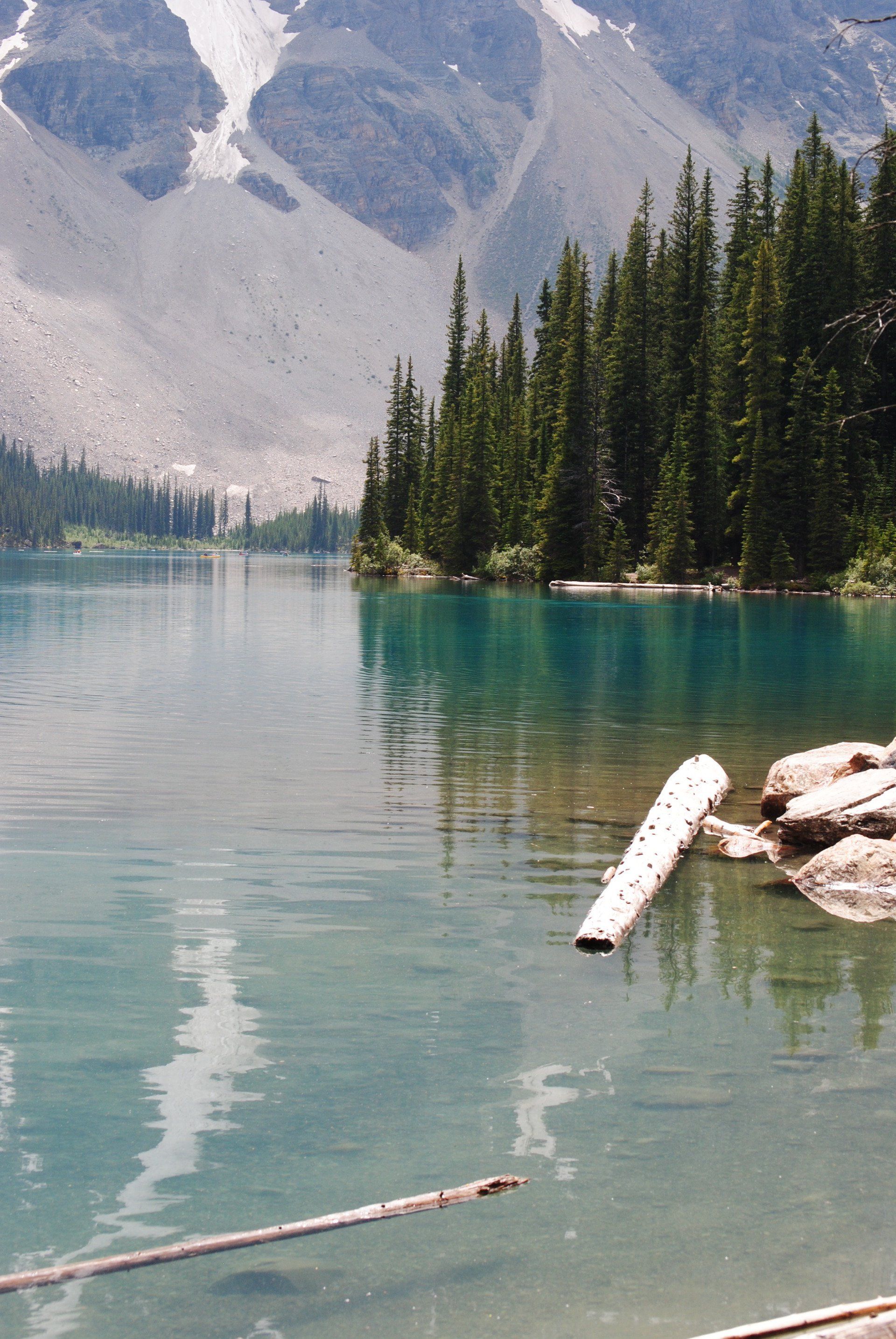A lake with trees on the shore and mountains in the background