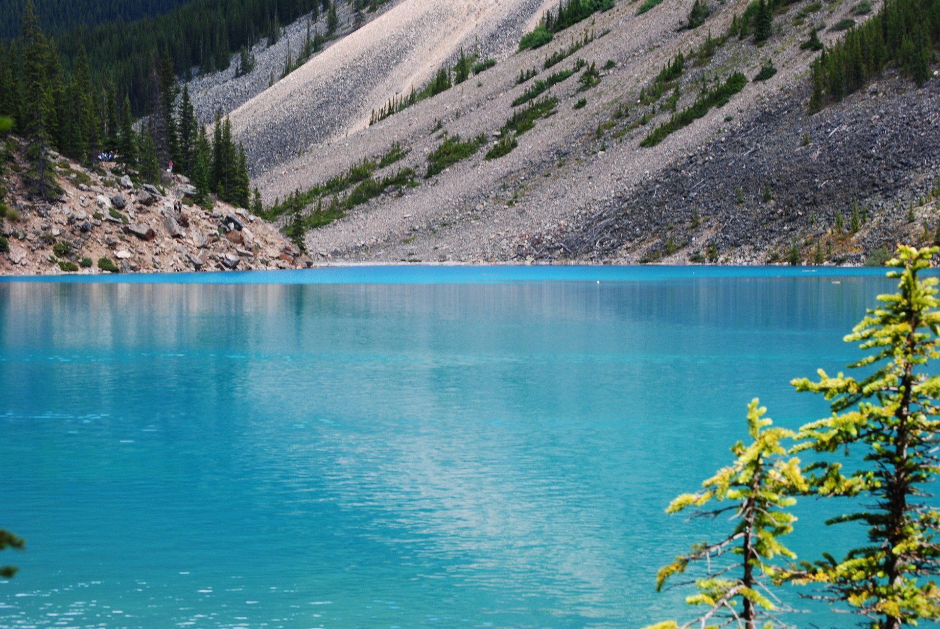 A lake with a mountain in the background and trees in the foreground